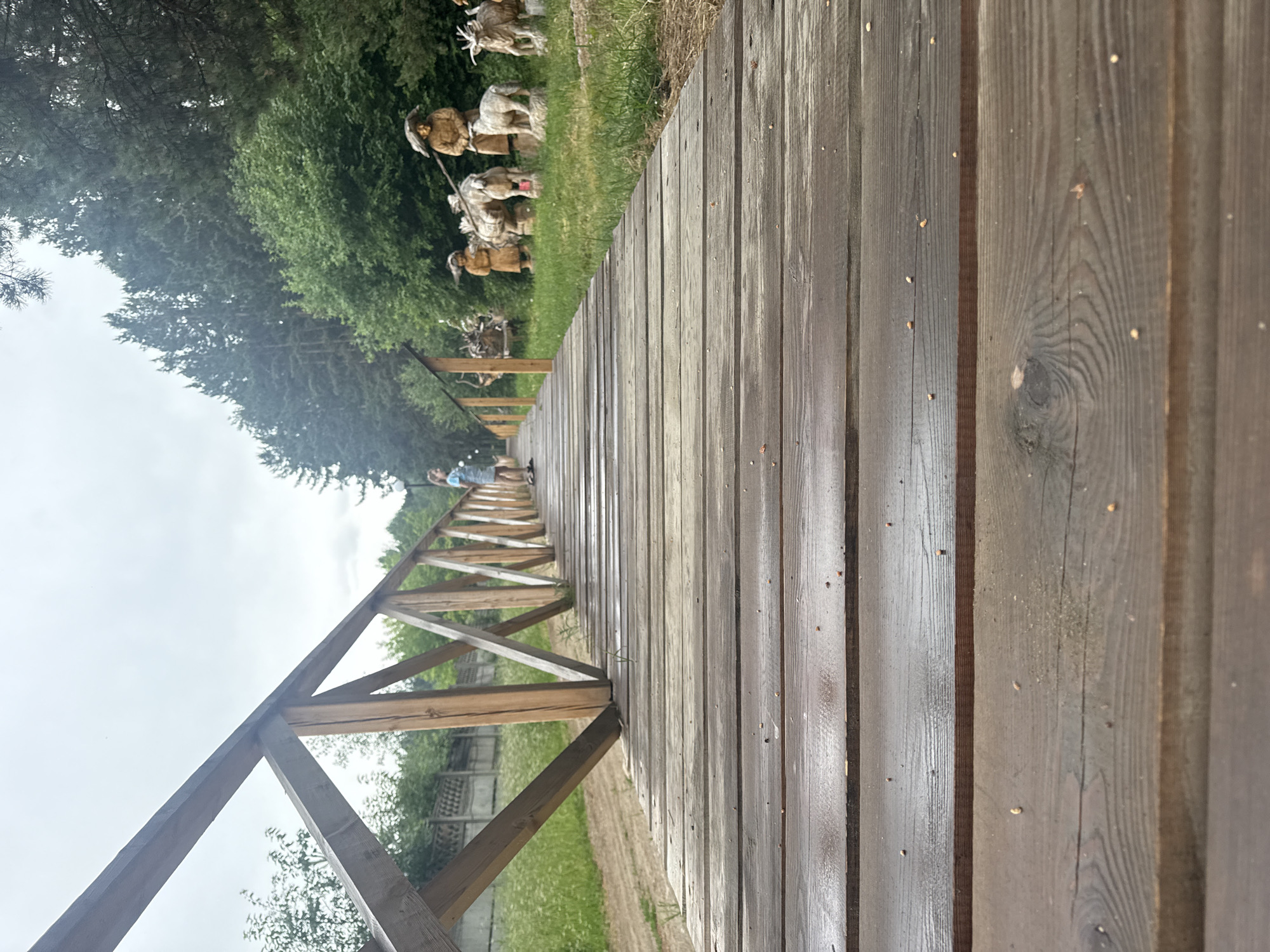 The image depicts a wooden boardwalk leading into a wooded area. On the right side of the boardwalk, there are several carved wooden figures of people and animals, appearing to be a rural or historical scene. A young girl in a light-colored dress is standing on the boardwalk in the distance, looking towards the figures. The sky is overcast. The scene is located in Savvateevka, Russia, possibly a park or outdoor exhibit.