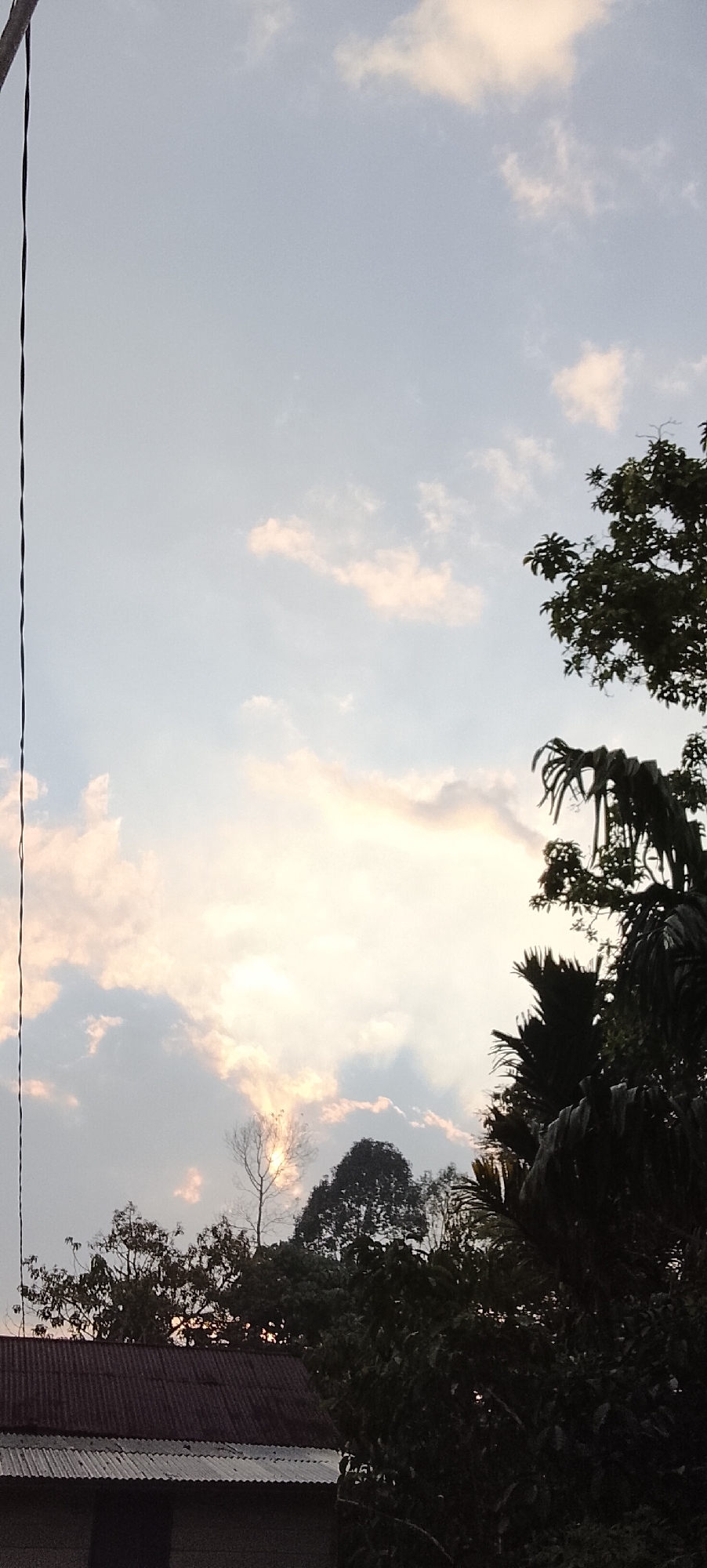 The image captures a twilight sky over Padang Dalom, Indonesia, characterized by a pale blue expanse interspersed with wispy, light pink clouds. A stark, black wire runs vertically along the left edge of the frame. Silhouetted against the sky are the dark outlines of various trees and foliage, with palm fronds prominently visible in the right foreground. A glimpse of a metallic, corrugated roof of a building is visible in the bottom left corner, partially obscured by the dark vegetation. The scene is illuminated by the soft, diffused light of the setting sun, which is partially visible behind a solitary, bare tree.