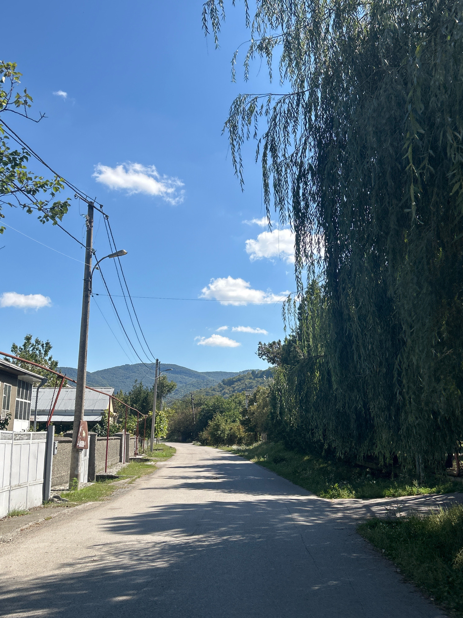 This is a vertical, eye-level, medium shot of a street in the city of Tsikhisdziri, Georgia. The street is paved and curves to the right in the distance, leading towards a lush green mountain range. On the left side of the street, there are houses with white fences and corrugated metal roofs. A utility pole with power lines and a street lamp stands prominently in the foreground. On the right side of the street, a large weeping willow tree dominates the scene with its long, drooping branches casting shadows on the road. The sky is a clear blue with a few scattered white clouds. The overall impression is of a quiet, scenic rural setting.