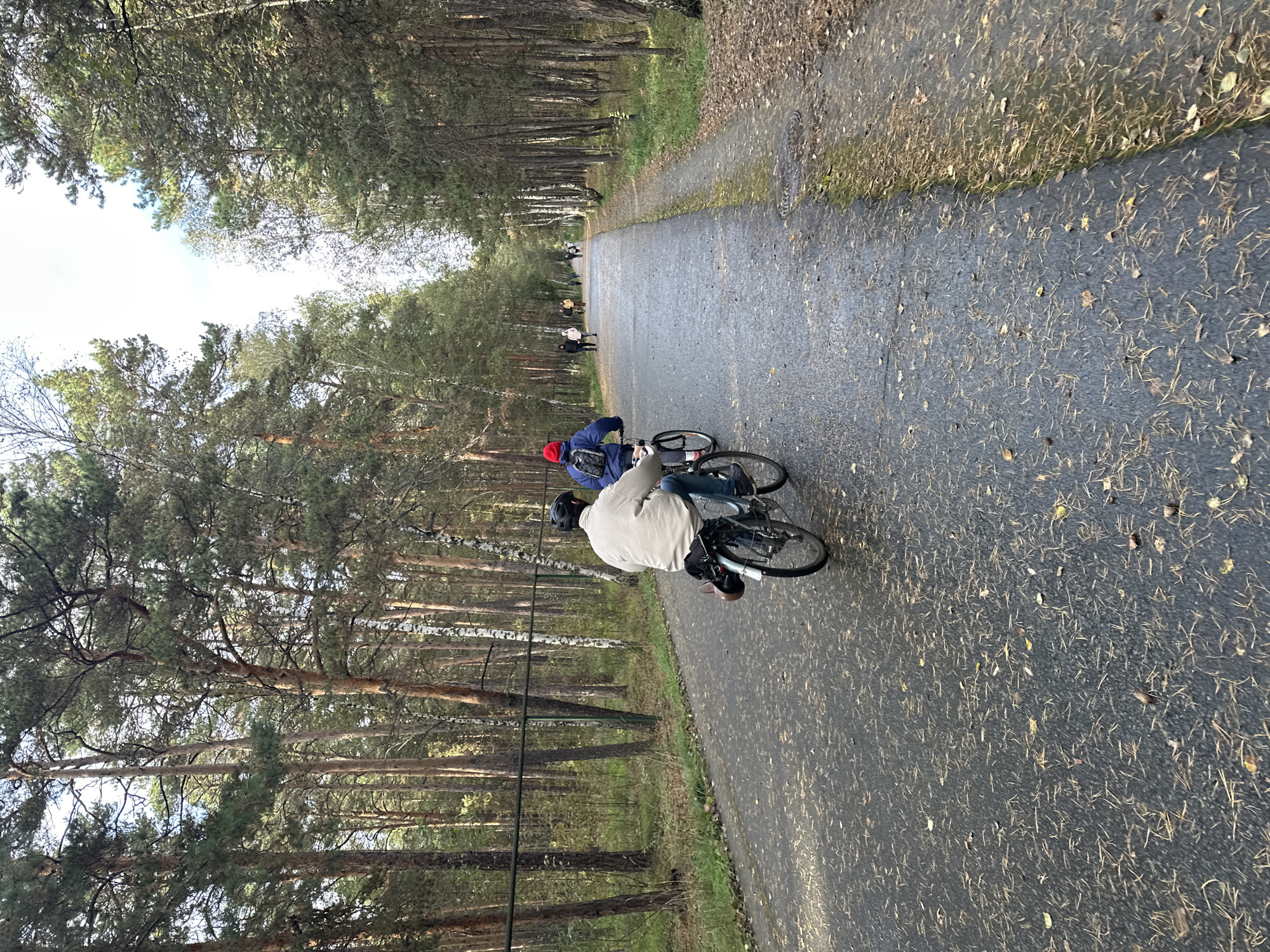 The image shows a paved path through a forest with tall trees on both sides. The path is wet, and scattered with fallen leaves and pine needles. Two people are riding bicycles on the path, moving away from the camera. The person in the foreground is wearing a light-colored jacket and a helmet, and is riding a bicycle with a basket on the back. The person behind them is wearing a blue jacket and a red hat, also riding a bicycle. In the distance, several other people are walking along the path. A wire fence is visible along the left side of the path, separating it from the trees. The sky is overcast, suggesting a cool day.