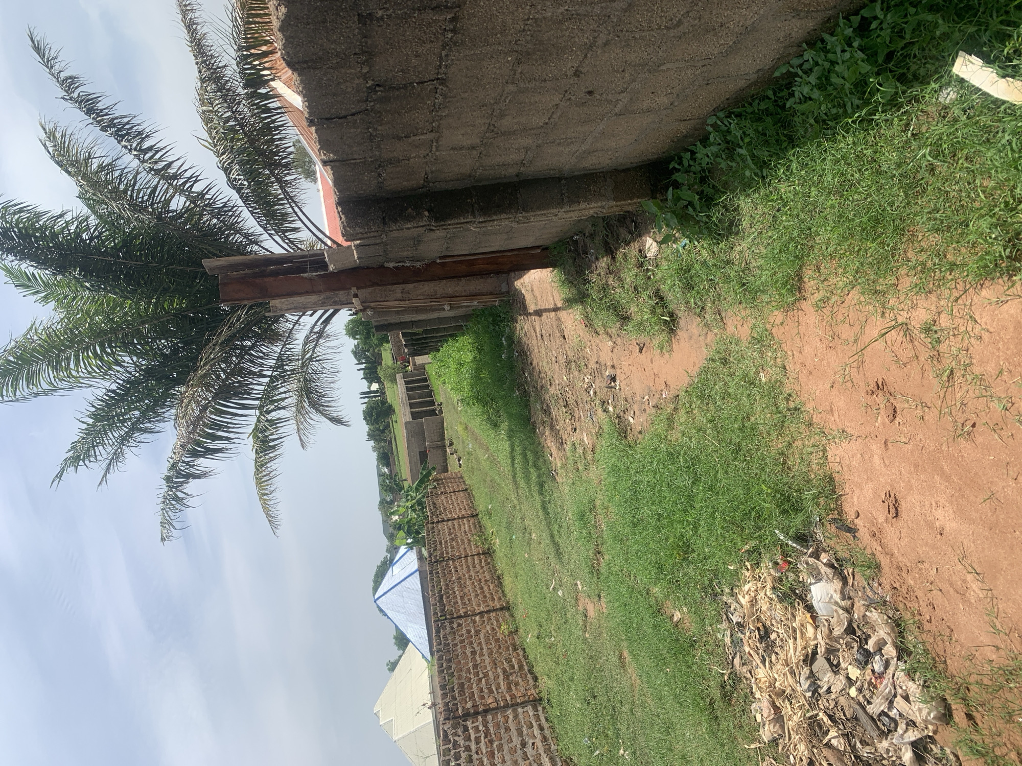 The image depicts a scene in Jauro Yinu, Nigeria, featuring a dirt path bordered by a brick wall on the left and a concrete block wall on the right. A large palm tree with sparse fronds is prominently positioned behind a wooden post separating the path from the adjacent area. In the background, several buildings are visible, including structures with white and blue pyramid-shaped roofs and other houses with red-tiled roofs. The ground is covered with dry grass and a pile of debris, including plastic bags and dried plant matter, is situated to the left of the path. The sky is partly cloudy, and the overall impression is one of an undeveloped or semi-developed area.