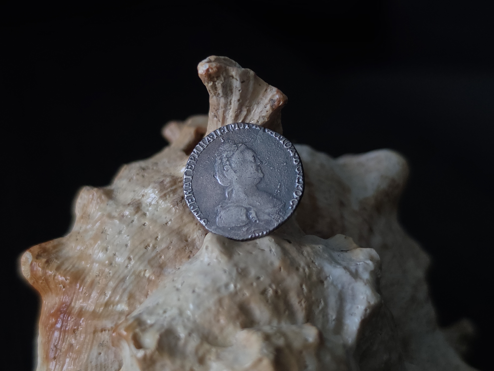 A silver coin featuring a profile of a woman with an elaborate hairstyle is positioned on a light-colored, textured seashell against a dark background. The coin appears to be an old Russian coin, possibly from the 18th century, given the inscription that is partially visible. The seashell itself has a rough, organic texture with natural variations in color and shading, suggesting it is a decorative element. The overall lighting is focused on the coin and the seashell, creating a dramatic contrast with the dark, out-of-focus background. There is no indication of the city of Strelna, Russia, in the image itself.