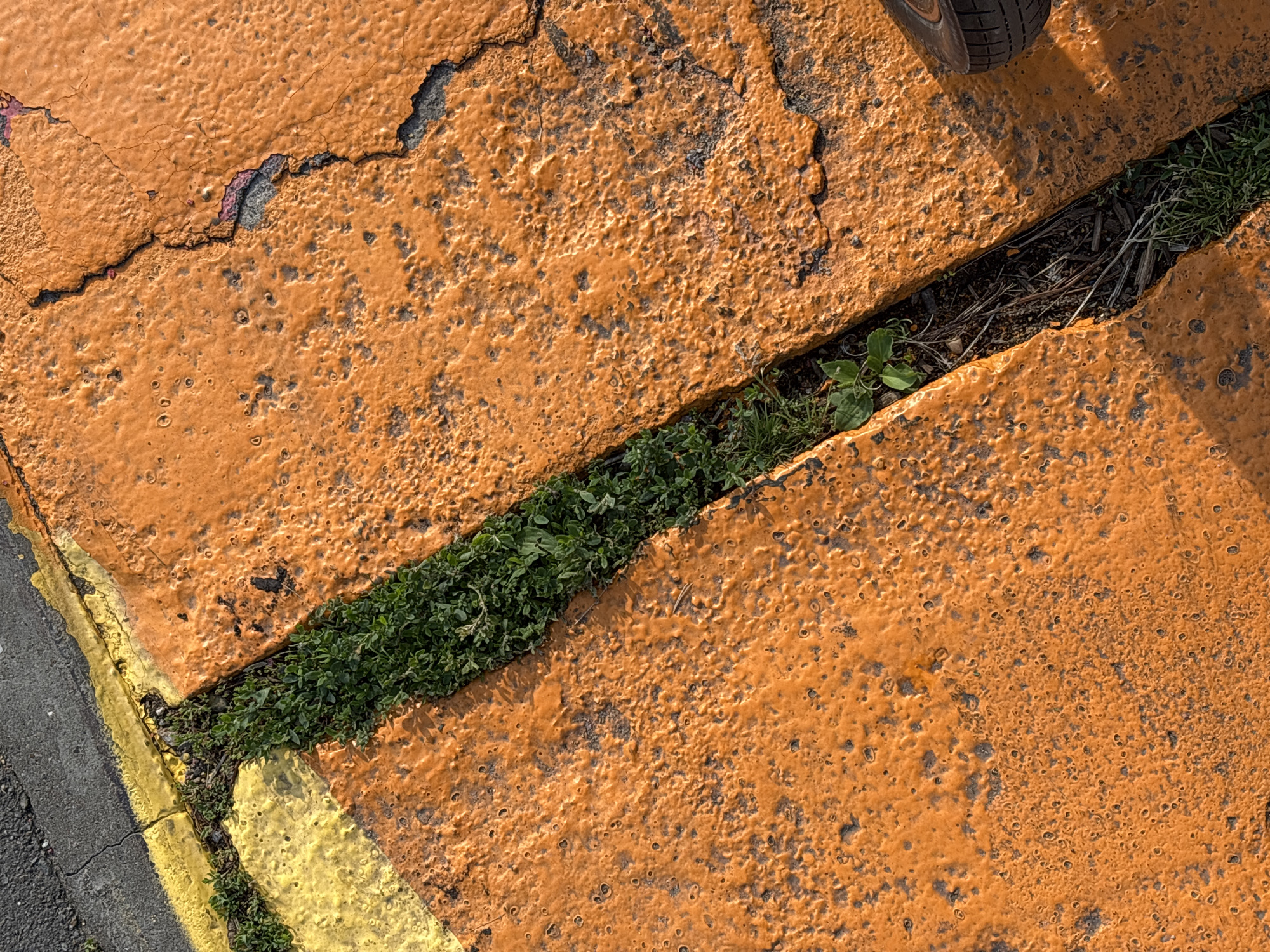 The image is a close-up, top-down view of an outdoor scene with an asphalt road and orange painted concrete slabs. A strip of green grass and weeds grows in a narrow gap between the concrete slabs. Yellow paint is visible on one of the slabs, adjacent to the asphalt. A car tire is partially visible in the lower right corner of the image. The scene appears to be a street or parking area in Naberezhnye Chelny, Russia. The concrete is cracked and shows signs of wear and tear. The lighting suggests it is daytime, possibly late afternoon, with shadows cast by the raised surfaces of the concrete.