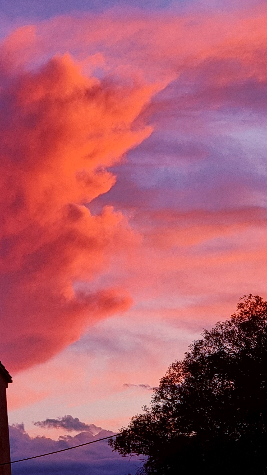 The image captures a vibrant sunset over Sant Joan Les Fonts, Spain. The sky is a dramatic canvas of color, dominated by fiery orange and vivid pink clouds that transition into softer shades of purple and blue. A large, illuminated cloud formation, tinged with orange, occupies the left side of the frame. Below, the silhouette of a mature tree with dense foliage fills the lower right portion of the image. To the left, the dark outline of a building's roof is visible. A thin wire stretches horizontally across the lower part of the sky. The overall scene is a testament to the natural beauty of the sky during sunset in this Spanish town.
