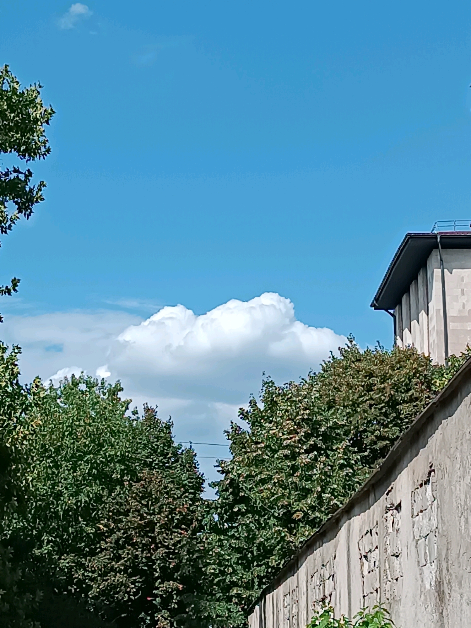 The image shows a view of a bright blue sky with fluffy white clouds. In the foreground, a textured, light-colored wall runs diagonally from the lower right to the upper left. This wall appears to be made of concrete or stucco and shows signs of age, with some areas where the material has chipped away, revealing a darker substrate or brickwork underneath. Above and behind the wall, dense green foliage from trees obscures much of the lower half of the image.
To the right, a portion of a building is visible. It has a light-colored, possibly concrete or stone facade, with vertical elements that suggest pilasters or structural supports. A dark, angled roofline is prominent at the top of this building section, with a darker band above it.
The image composition suggests an outdoor setting, potentially a street or courtyard in Chișinău, Moldova, given the building's architecture and the general appearance of the environment. There are no people or overt actions depicted. The focus is on the architectural elements, the natural greenery, and the sky.