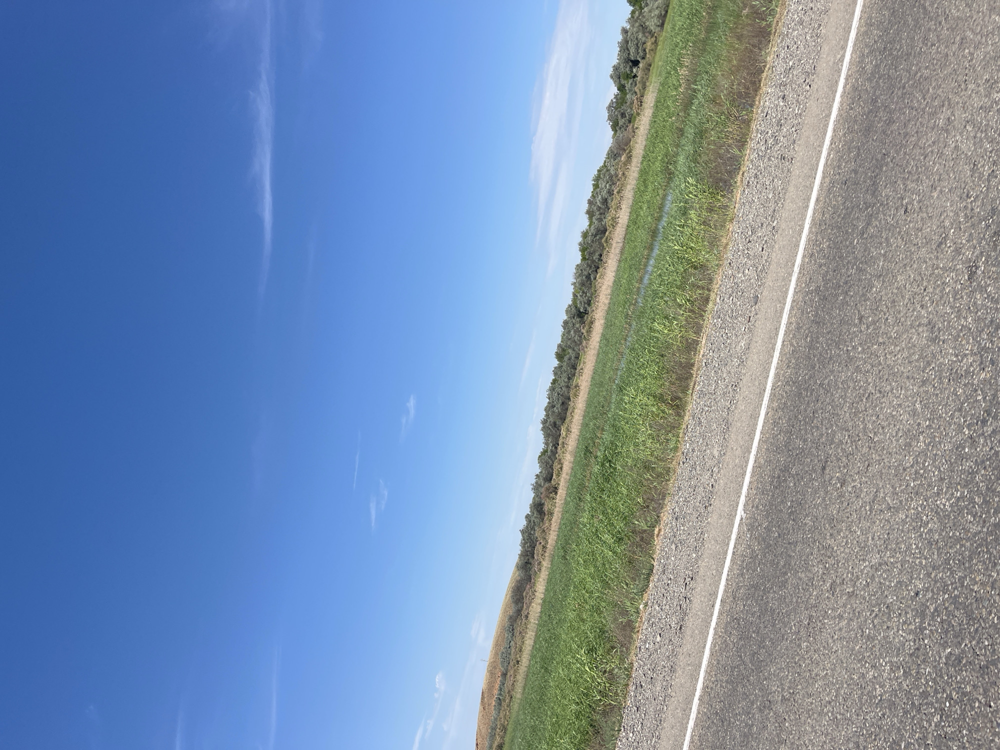The image depicts a rural landscape with a road in the foreground and a field of tall green grass, water, and trees in the background. The sky is clear blue with a few wispy clouds. The road is asphalt with a white line marking the edge. The field is densely packed with vegetation, with a small body of water visible to the right. A line of trees forms the horizon in the distance, with a gentle hill rising behind them. The overall scene suggests a natural, undeveloped area. The location in Anatoliya Zvereva, Russia is not discernible from the image itself.