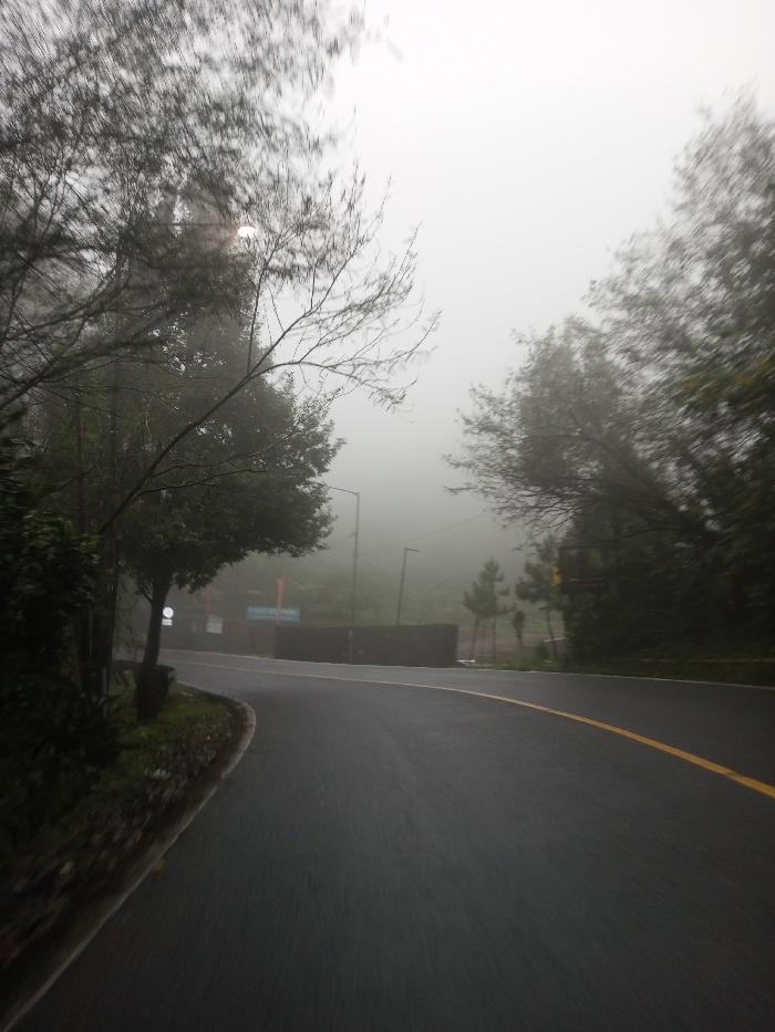 The image depicts a foggy road scene in Dawathang_Dorjibi_Kashingtsawa, Bhutan. A dark, wet asphalt road curves gently to the right, receding into dense, white fog that obscures the horizon and sky. A continuous yellow line is visible on the right side of the road, marking the edge of a lane.
On the left side of the road, a narrow, dark embankment with green vegetation borders the pavement. Several trees with dark, wet trunks and branches stand along this edge; some have sparse, thin branches extending towards the top of the frame, while others display denser green foliage. A white circular sign is partially visible behind a tree trunk near the road's edge. Further back, partially obscured by the fog and trees, a red rectangular sign and a blue sign are discernible. A black street light pole with a visible luminaire stands erect on the left side, extending into the fog.
The right side of the road is bordered by dense green foliage and trees that blend into the fog. Another street light pole is visible further down the road. A dark, low barrier or wall runs parallel to the road for a segment, behind which several smaller, pointed evergreen trees are faintly visible.
No individuals, animals, or vehicles are present in the scene. The overall environment is characterized by heavy fog, indicating high humidity or precipitation, with wet surfaces throughout. The lighting is diffuse due to the fog.