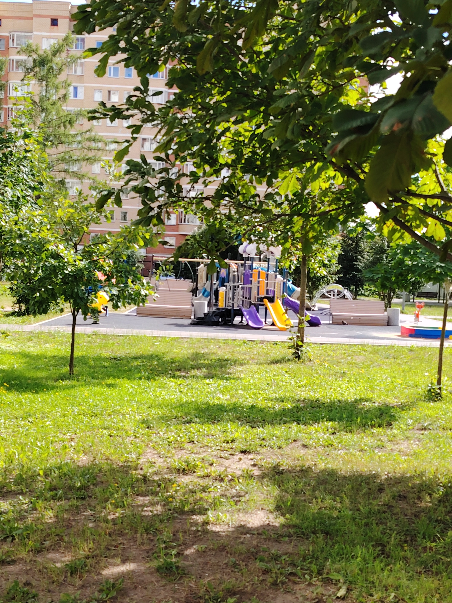 The image shows a playground in a residential area, likely in Zelenograd, Russia, based on the architectural style of the apartment building in the background. The building is light brown with multiple floors and numerous windows. The playground features a colorful play structure with slides and climbing elements, a sandbox with red and blue borders, and several light brown benches. The ground around the playground is paved with dark gray material, bordered by white trim, and surrounded by green grass with some scattered yellow flowers. Several trees with lush green foliage are present, casting shadows on the grass. The overall scene depicts a bright, sunny day in a suburban or urban park setting.