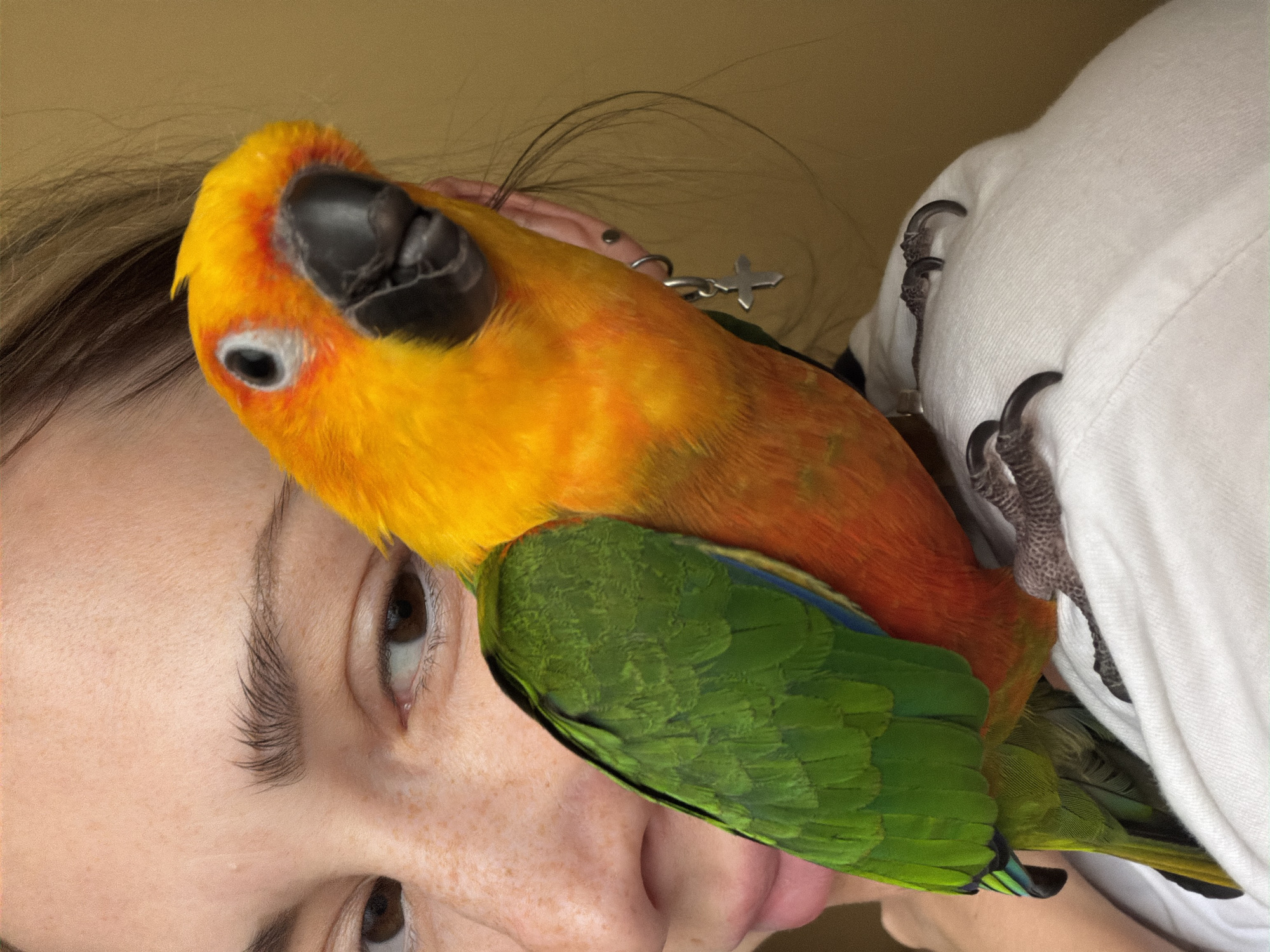 A sun conure parrot is perched on the shoulder of a person, viewed from the side with the parrot in the foreground. The parrot has bright orange and yellow plumage on its head and chest, transitioning to green on its back and wings, with accents of blue and yellow on its tail feathers. Its black beak is prominent, and its eye is visible. The person, with light-colored skin and brown eyes, has freckles on their cheek and nose. They are wearing a white top. The background is a plain, muted yellow. The image does not provide any information about a location in Khimki, Russia.