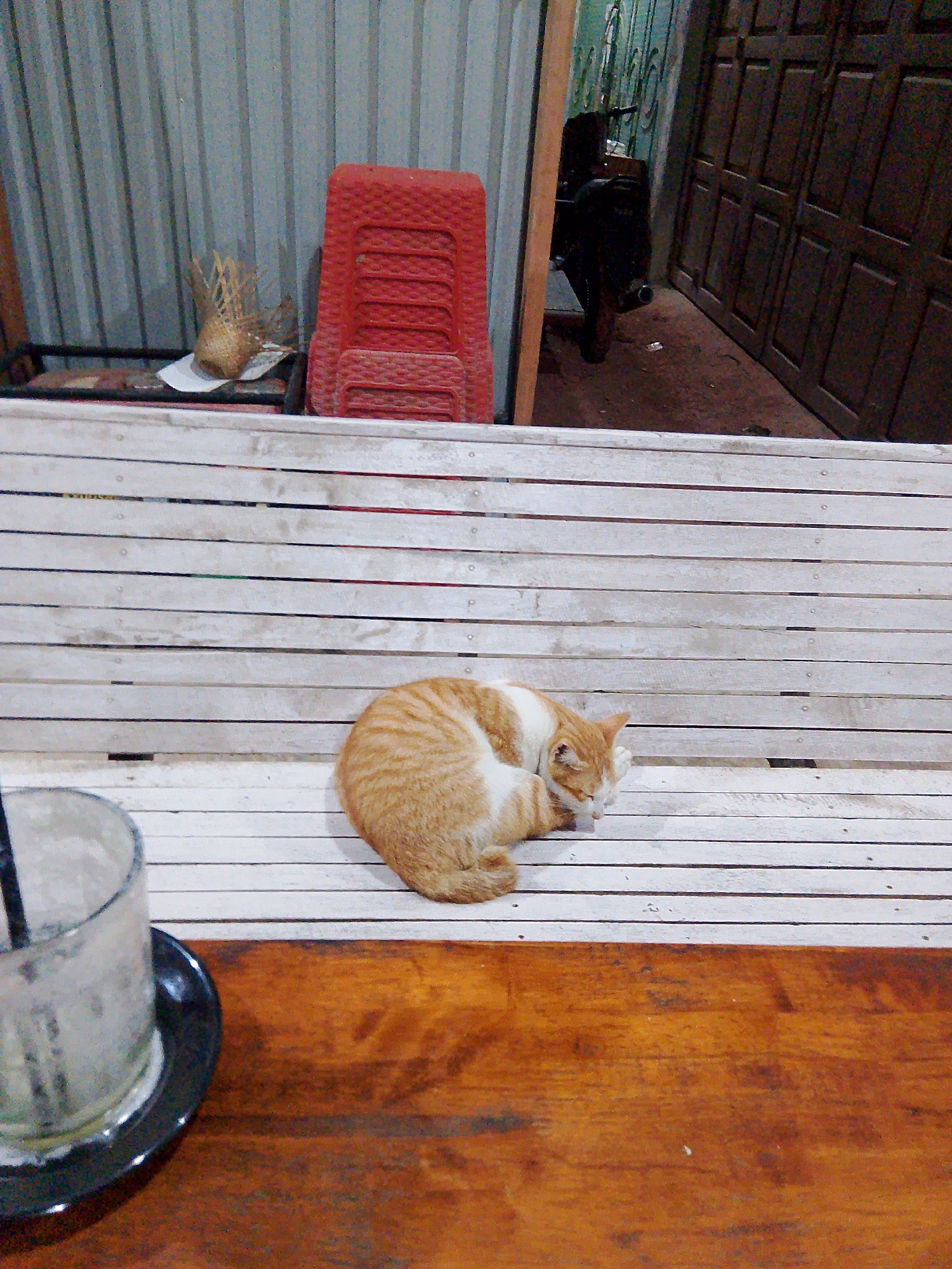 A ginger and white cat is sleeping on a white wooden bench. The bench is outdoors, in front of a corrugated metal wall and a brown wooden door. A motorcycle is parked near the door. In the foreground, a glass with a straw sits on a wooden table. The scene is likely in Meunasahmee, Indonesia, a village in Aceh province.