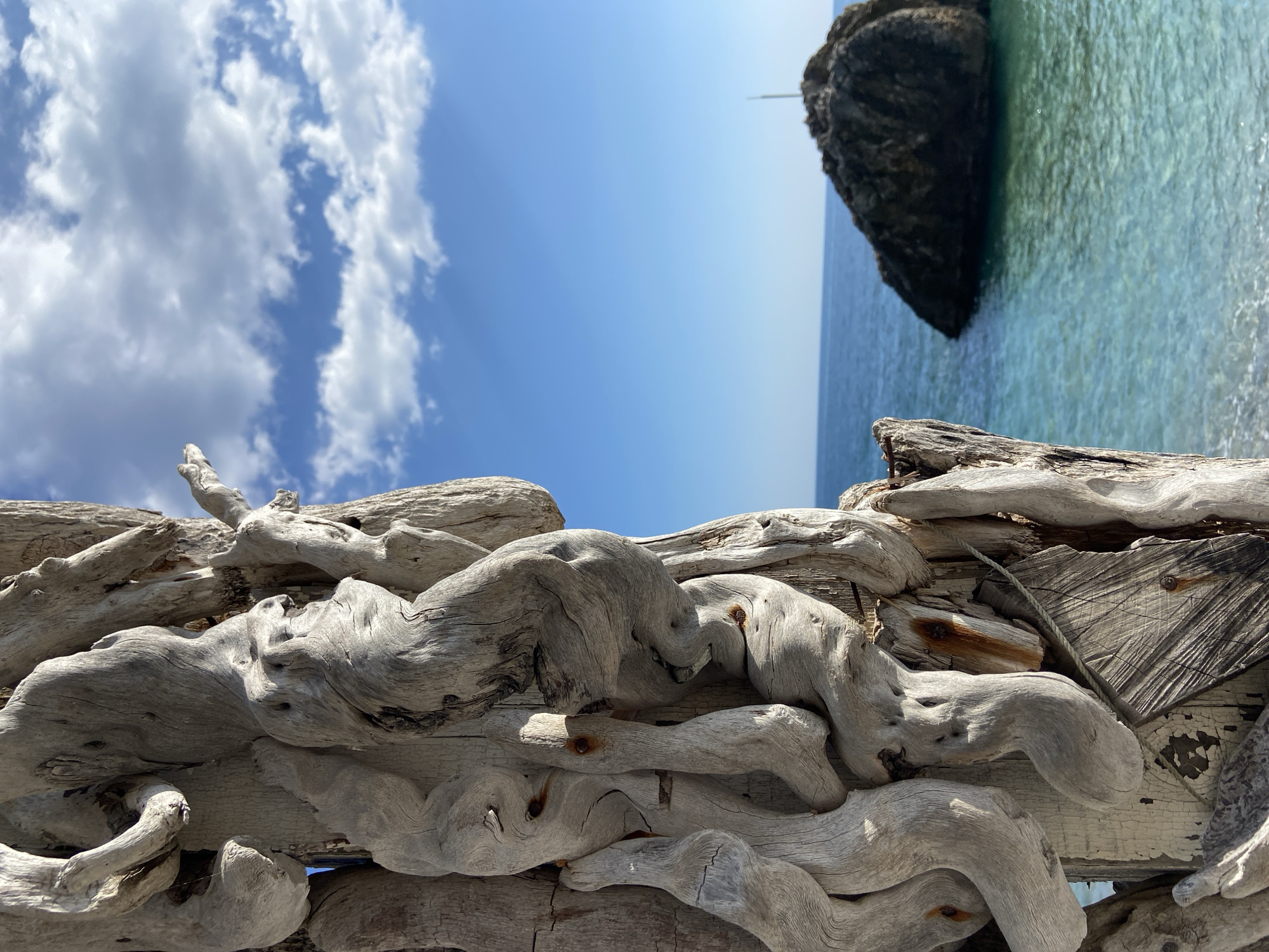 A sunny, serene beach scene, likely in Prijevor, Montenegro, features weathered driftwood prominently in the foreground. The driftwood is bleached and gnarled, with various pieces intertwined and stacked together, forming a natural barrier or decorative structure. Beyond the driftwood, the clear, turquoise water of the Adriatic Sea stretches out to the horizon, where a rocky islet stands. A sailboat is partially visible. Above, a clear, bright blue sky is adorned with scattered white clouds.