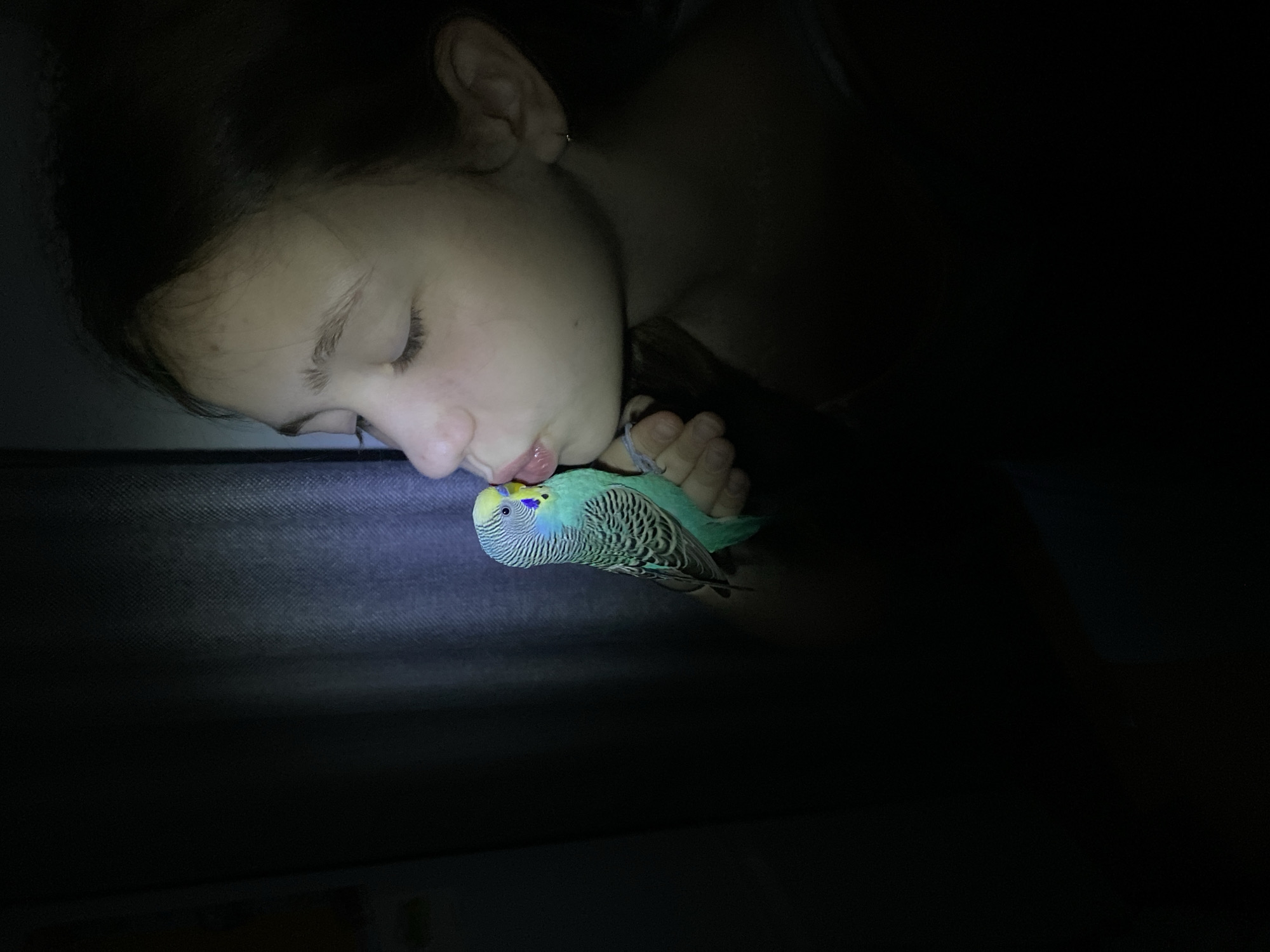 A close-up, low-light photograph shows a fair-skinned young person interacting with a budgerigar. The person is positioned with their head tilted horizontally, eyes closed and lips touching the bird's head. The budgerigar, primarily blue and green, is held in the person's hand. The background is dark and indistinct. The location is unknown.