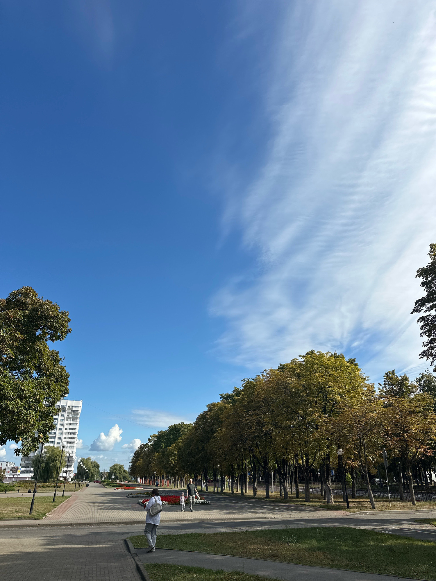 The image depicts a sunny day in Svietlahorsk, Belarus, likely in a park or a tree-lined boulevard. The sky is a vibrant blue with scattered white, wispy clouds. On the left side of the frame, a tall, modern white building with many windows stands against the sky, with a large tree in the foreground. A paved walkway runs diagonally across the image, bordered by grass on the right. A line of trees with yellowing leaves, suggesting autumn, extends down the right side of the walkway, creating a shaded avenue. In the middle distance, several people are visible walking along the path. One person in the foreground, wearing a light-colored shirt and grey pants, carries a bundle of flowers. Another person, a child, walks with an adult further down the path. Flowerbeds with red and white blooms are visible near the trees. Streetlights are placed along the walkway. The overall scene suggests a public space in the city on a pleasant day.