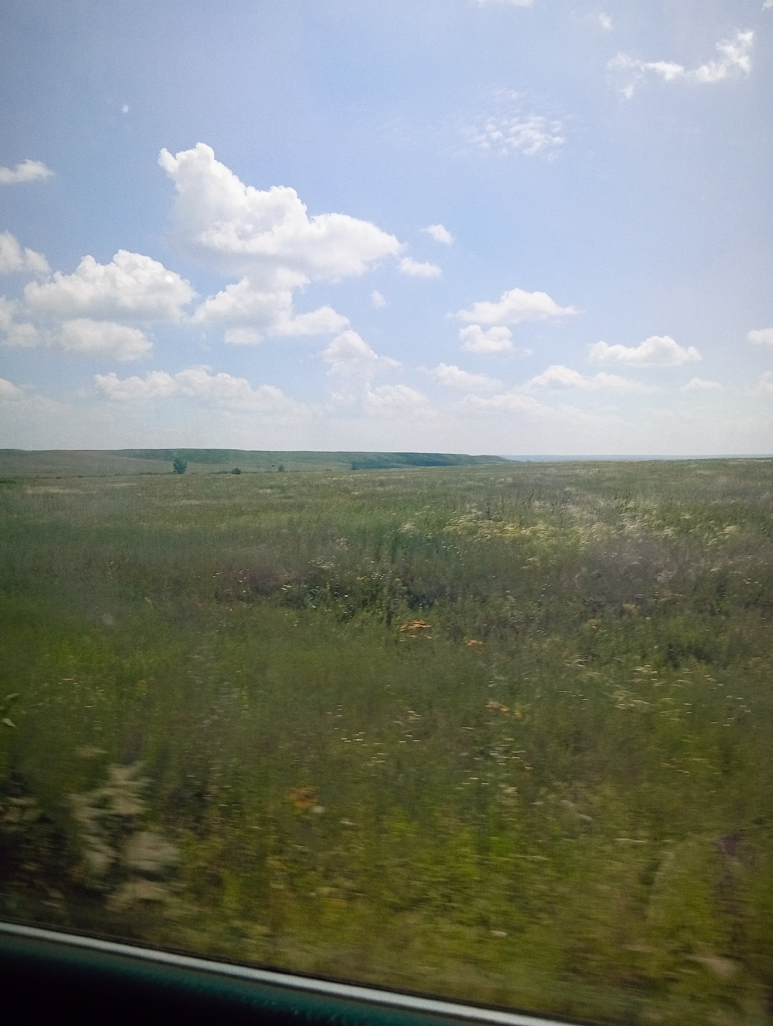 The image depicts a vast, green, grassy plain under a partly cloudy sky. The landscape stretches horizontally with rolling hills in the distance, partially obscured by a hazy horizon. The foreground is dominated by the blurry motion of tall grasses, suggesting the photo was taken from a moving vehicle. Several scattered trees are visible in the mid-ground, and some lighter patches in the grass may indicate wildflowers or dry vegetation. The sky is a pale blue with scattered white cumulus clouds. The bottom of the image shows a blurred dark frame, likely the edge of a window or car interior. The scene appears to be a natural, open landscape characteristic of the steppe regions of Kazakhstan, potentially near Aleksandrovka. There are no people or specific man-made structures clearly identifiable.