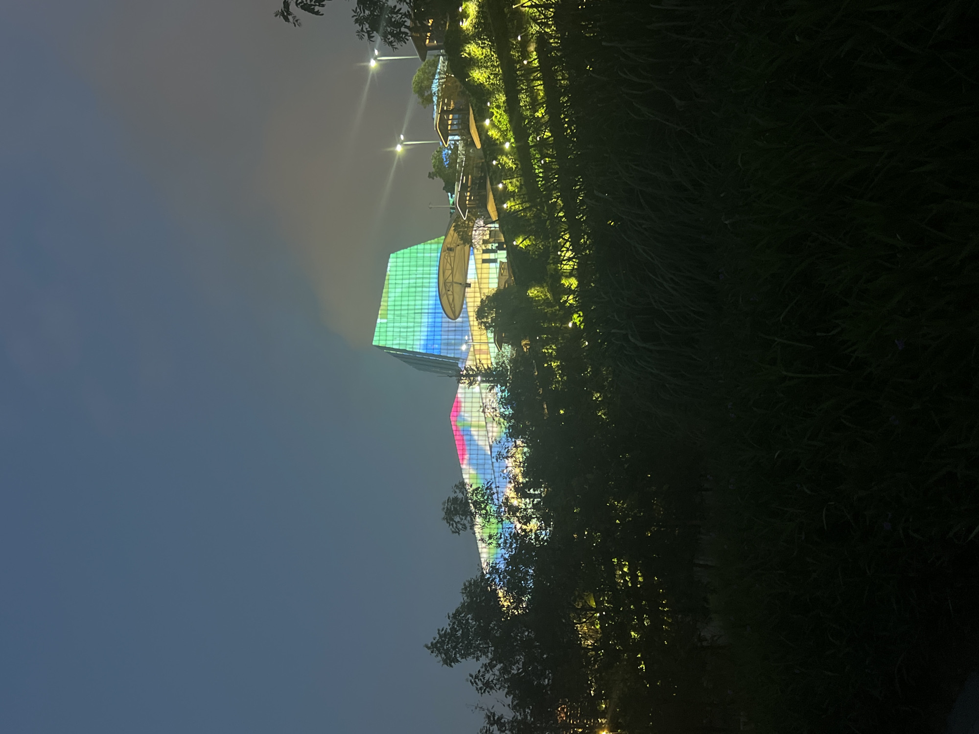 The image captures a nighttime view of a modern, multi-level building complex illuminated with vibrant, colorful lights. The architecture appears contemporary, with large glass facades that are lit from within. The building is situated on a terraced hillside, which is also adorned with numerous small, warm-toned lights that illuminate the vegetation and walkways. In the foreground, dark, dense foliage, likely grass and bushes, obscures the lower portion of the scene. Tall streetlights are visible on the upper levels of the complex, and a misty or cloudy sky adds a dramatic atmosphere to the overall composition. The location is identified as Jiangbeicheng Subdistrict, China. There are no people visible in the image.
