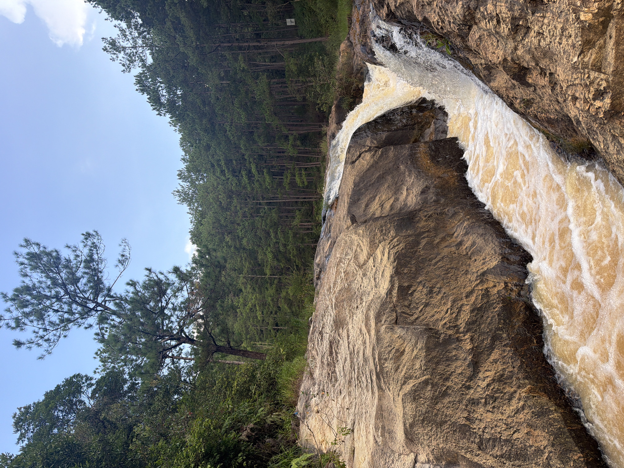 The image shows a natural landscape scene featuring a waterfall cascading over large, brown rocks. The water is a murky, yellowish-brown color, indicating it may be carrying sediment. The surrounding environment is lush with green vegetation, including trees and grass, with a dense forest of pine trees visible in the background under a clear blue sky with a few wispy clouds. The overall impression is one of a natural, somewhat wild, outdoor setting. The specific location is Păng Tiêng 1, Vietnam. There are no people or animals visible in the image.