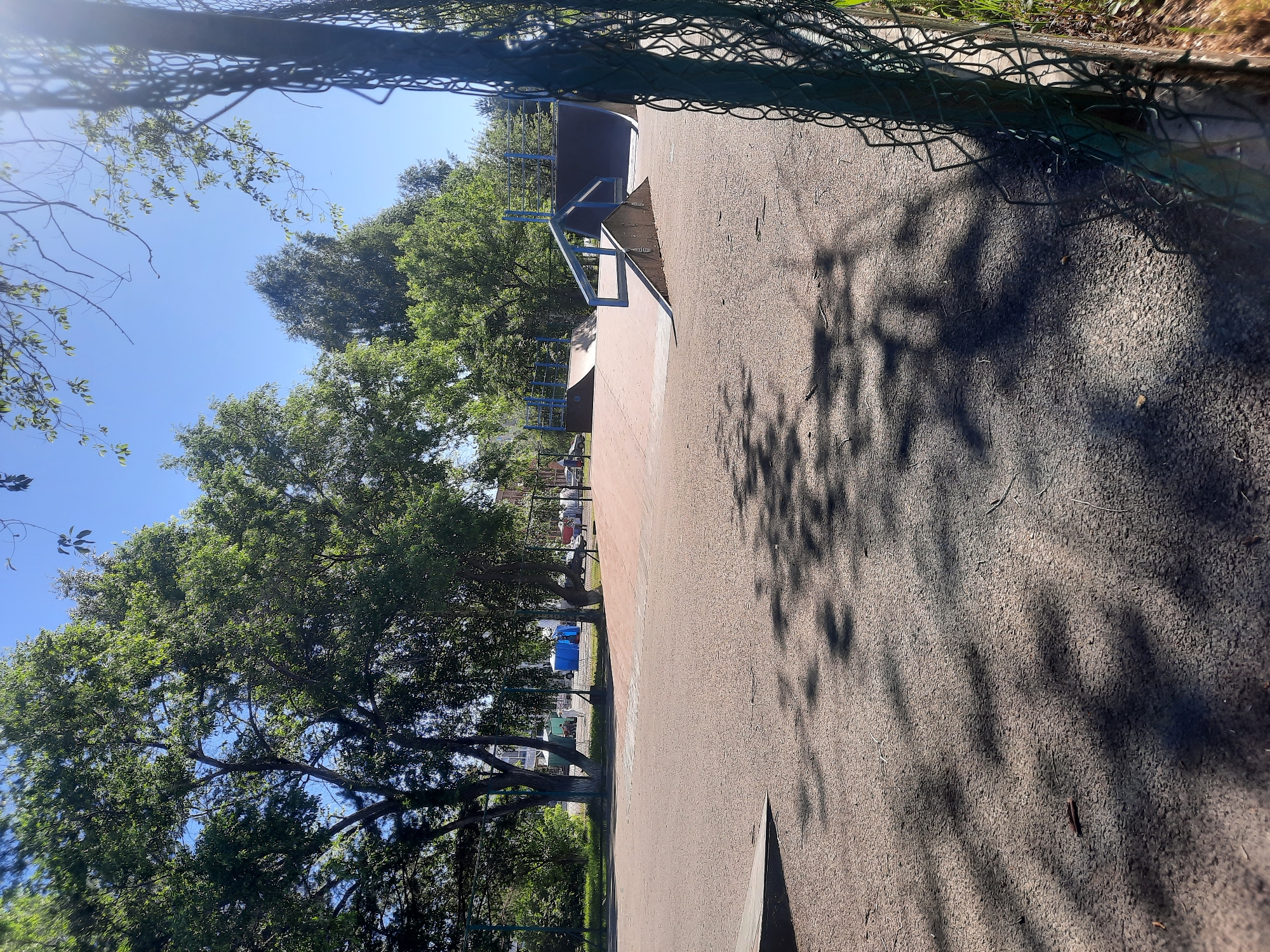 This image depicts an outdoor skatepark in Зеленогорский, Russia. The foreground shows a grey asphalt surface with scattered debris and tree shadows. To the right, a green metal chain-link fence partially obscures the view. In the midground, a variety of skate ramps and structures are visible, constructed from concrete and metal. These include quarter pipes, ledges, and angled ramps, all painted with blue accents. In the background, lush green trees form a dense canopy, with glimpses of a clear blue sky above. Behind the trees, tents or canopies in blue and white are set up, and several vehicles are parked, suggesting a temporary event or gathering. The overall scene is bathed in bright sunlight, indicating daytime.