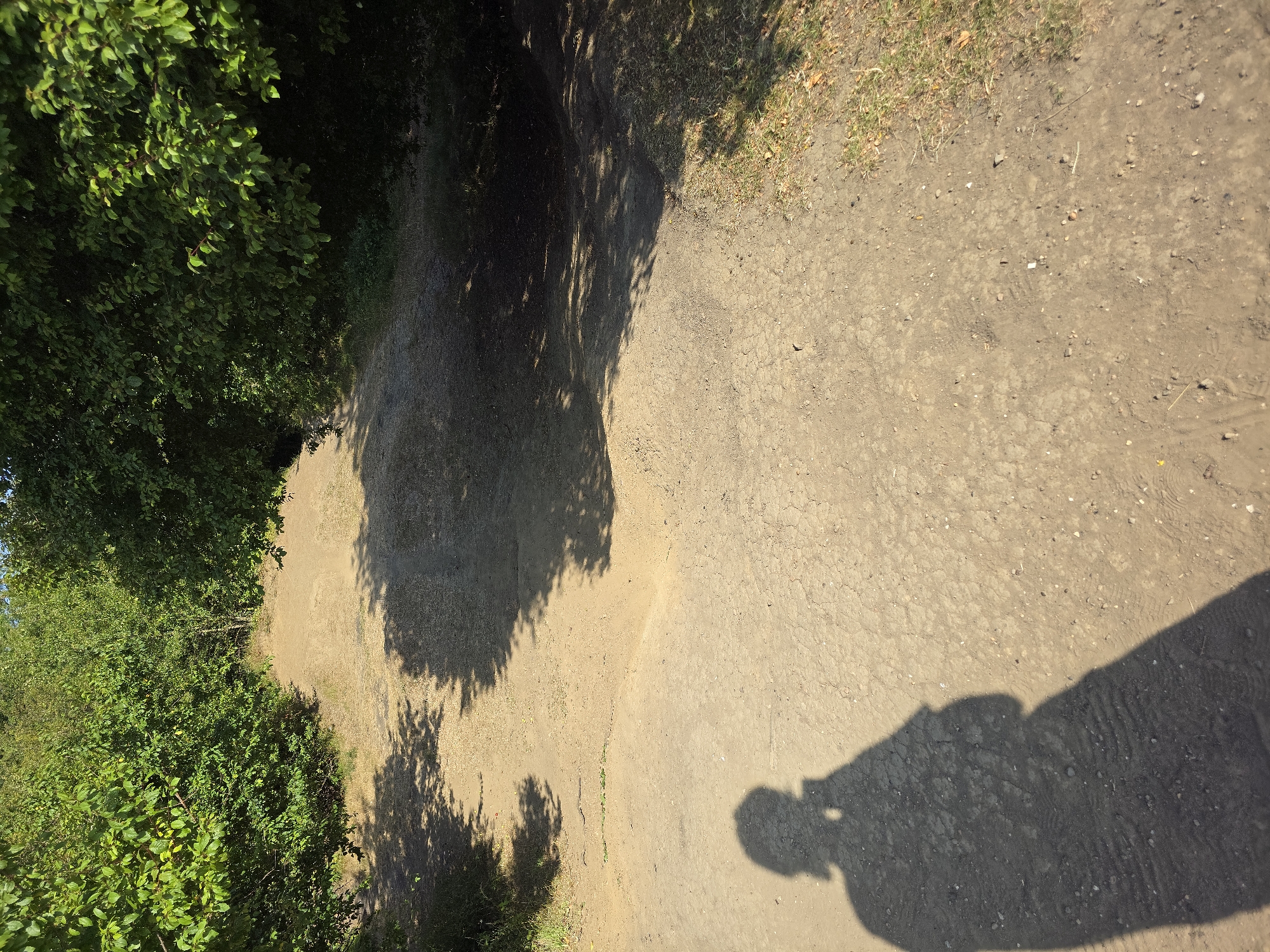 The image depicts an outdoor scene with a dirt path winding through vegetation. On the left side of the path, lush green foliage from trees and bushes dominates the frame, casting dappled shadows onto the path. The path itself is made of dry, sandy earth with small pebbles and some patches of dry grass and fallen leaves along its edges.

The light suggests it is daytime, with the sun casting long shadows from the trees and a prominent shadow of a person at the bottom right of the image, indicating someone is taking the photograph. The shadow of the person includes their head and torso, suggesting they are standing and facing away from the camera. The presence of a person's shadow implies an activity such as walking or standing on the path.

The environment appears to be a natural or semi-natural area, possibly a park, woodland trail, or countryside path. The time of day seems to be late afternoon or early morning, given the length and direction of the shadows. The weather appears to be clear and sunny. There is no visible text in the image. The overall mood of the image is peaceful and natural. The scene is set in Stockton-on-Tees, United Kingdom.