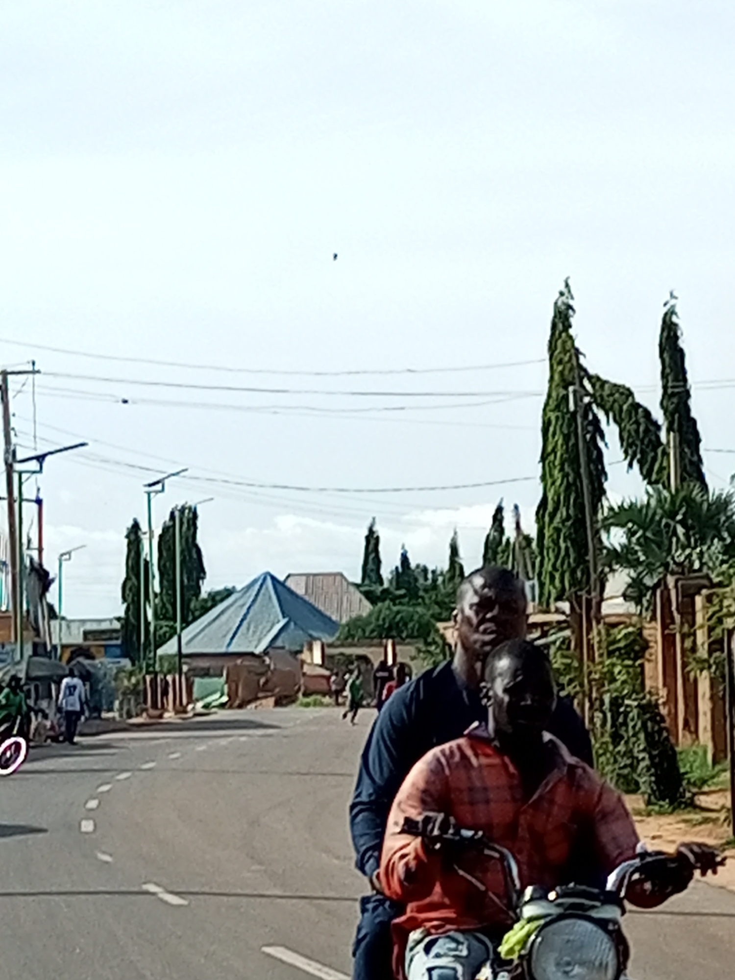 The image depicts a street scene in Tempure, Nigeria, likely during daylight hours given the bright sky and clear visibility. The primary subjects are two men riding on a motorcycle, with the driver in the foreground wearing an orange and red plaid shirt and the passenger behind him in a dark blue shirt. Their faces are partially obscured, but their expressions appear neutral.
The motorcycle is on a paved road with white dashed lines indicating lanes. In the background, several tall, slender trees with dense, drooping foliage line the street. Buildings with corrugated metal roofs are visible, along with streetlights and utility poles with power lines stretching across the sky. There are other individuals and a three-wheeled vehicle in the distance, suggesting a busy, populated area. The overall atmosphere appears to be that of a typical day in a Nigerian town. No visible text is present in the image.