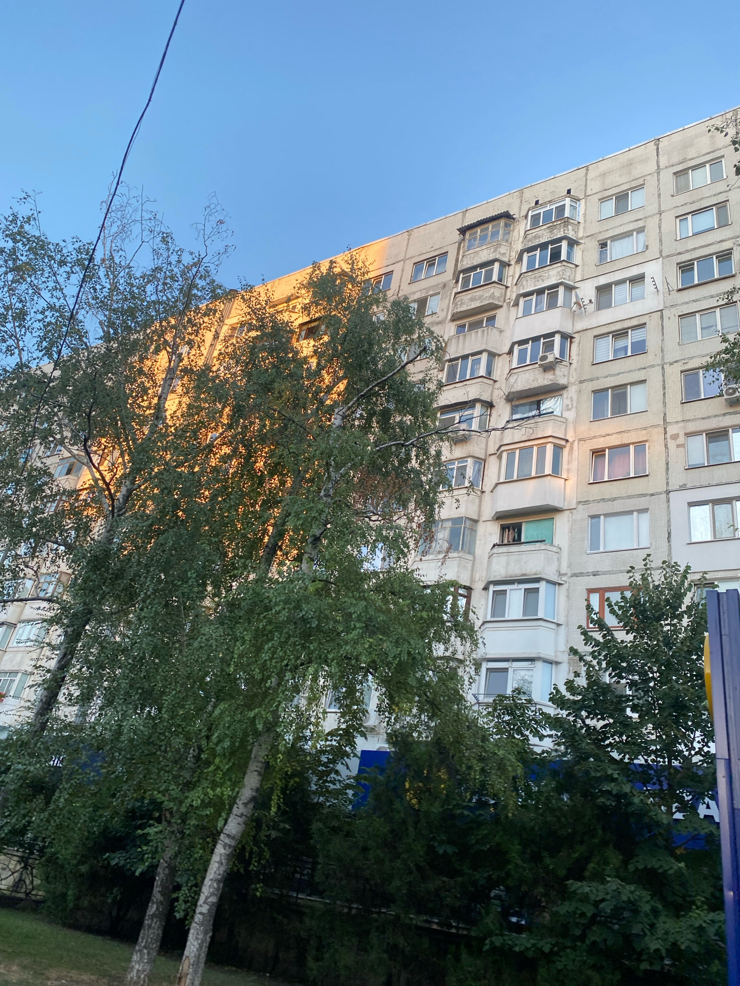 The image shows a close-up view of a multi-story apartment building in Chișinău, Moldova, under a clear blue sky. The building is constructed with concrete panels and features numerous windows and balconies. Several trees with green foliage are in the foreground, partially obscuring the building. The sunlight, casting a warm glow on the upper floors of the building and the leaves of the trees, suggests it is either early morning or late afternoon. There are no people or discernible actions visible in the scene.