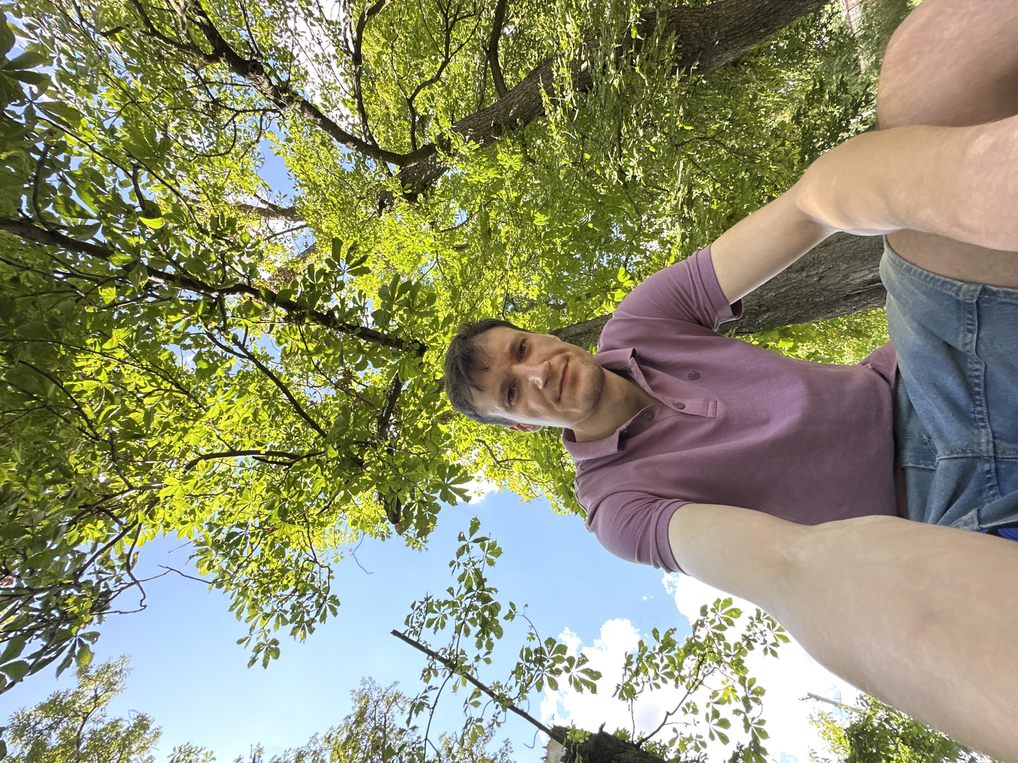 An outdoor, low-angle, selfie-style shot shows a man sitting outdoors under green trees against a bright blue sky with scattered white clouds. The man is wearing a purple polo shirt and denim shorts. His left arm is extended forward, holding the camera. The background is dominated by the lush green foliage of trees, with sunlight filtering through the leaves. The overall scene suggests a casual, daytime setting in a park or natural area.