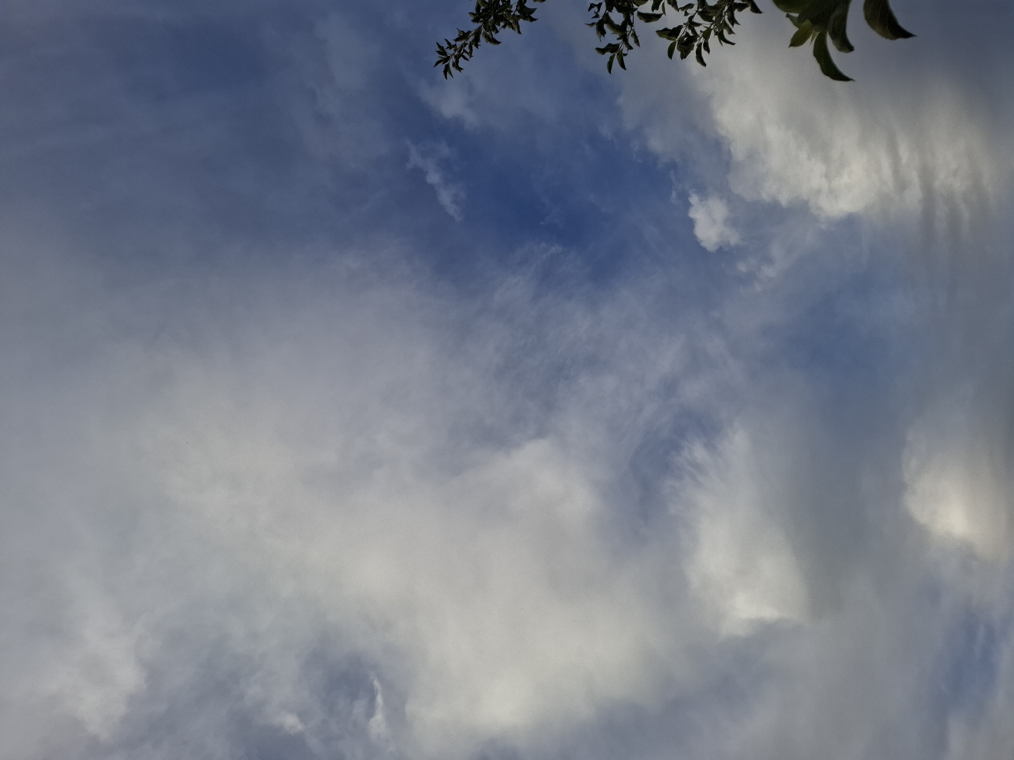 A wide-angle shot captures a sky filled with a mix of blue and white clouds. The clouds are varied in texture and density, with some appearing wispy and thin, while others are more substantial and opaque. Sunlight filters through the clouds, creating areas of brightness and shadow. In the upper portion of the image, the dark silhouettes of tree branches and leaves are visible, framing the sky. The composition suggests an outdoor scene, possibly a natural landscape, given the context of Jeti-Ögüz, Kyrgyzstan, though no specific geographical landmarks are identifiable within the frame itself. The image is likely taken during the daytime, given the presence of sunlight. The overall mood is serene and natural, with the interplay of light and cloud formations creating a dynamic yet peaceful sky. There is no visible text in the image.
