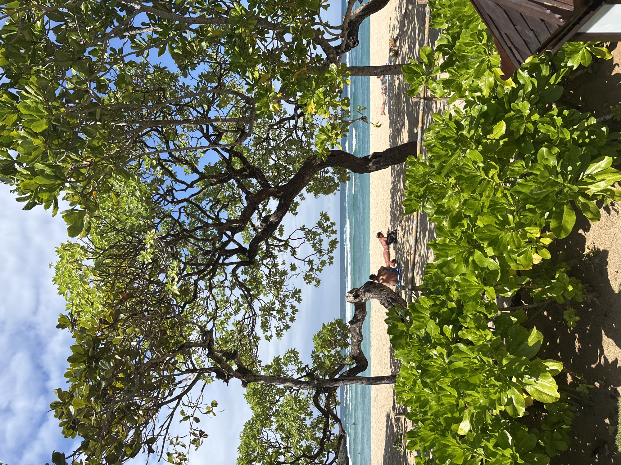 The image depicts a tropical beach scene in Kuta Selatan, Indonesia. The foreground is dominated by lush green foliage, with a wooden structure partially visible on the right. Beyond the vegetation, a sandy beach stretches towards the ocean, where gentle waves are breaking. Two individuals are seated on the sand beneath the shade of a large, gnarled tree. In the mid-ground, a person lies sunbathing on the beach, and further out, a few people are in the ocean, possibly swimming or surfing. The sky is blue with scattered white clouds.