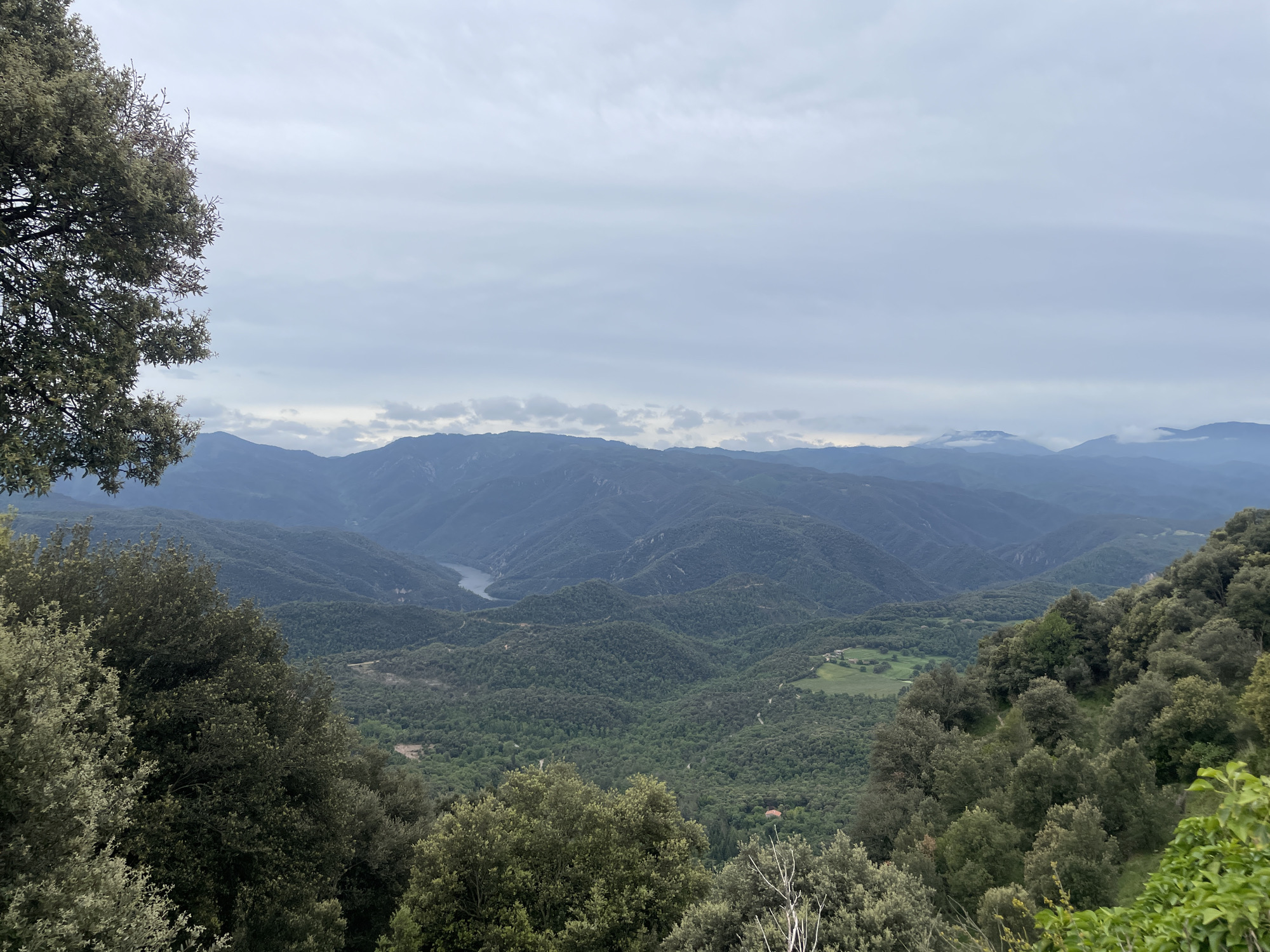 This image captures a panoramic view of a mountainous landscape in Tavertet, Spain. The foreground features a lush, dense forest of green trees framing the vista. Beyond the trees, a winding river snakes through the valleys between the rolling, tree-covered mountains. The mountain range stretches into the distance, gradually fading in a hazy blue color. The sky is overcast with grey clouds, creating a muted light that diffuses across the scene.