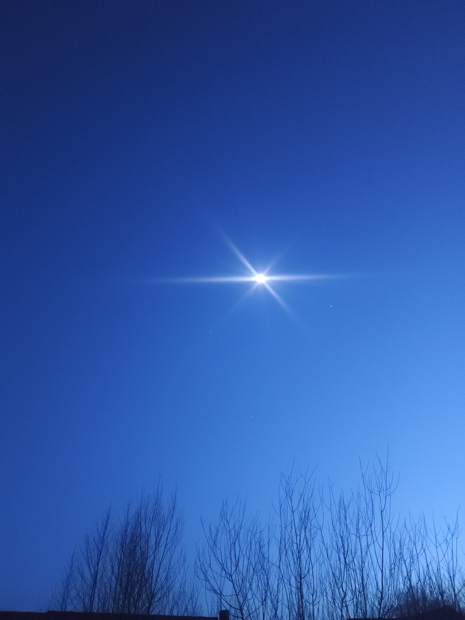 This image captures a clear, deep blue sky over Chaikovsky, Russia, likely during twilight or early night. A dominant, exceptionally bright celestial object, possibly a star or planet, is positioned in the upper center, emitting a pronounced lens flare that manifests as a strong horizontal light streak across the sky. Below and slightly to the right of this primary light source, a smaller, distinct white dot is visible, suggesting another celestial body. Numerous fainter, tiny white specks, indicative of stars, are scattered across the blue expanse.
The lower third of the frame is filled with the intricate silhouettes of numerous bare tree branches, their delicate, leafless forms suggesting a cold season such as late autumn, winter, or early spring. These branches create a dark, textured band against the lighter blue of the horizon. No people or specific architectural structures are visible. The atmosphere appears calm and clear. There is no visible text in the image.