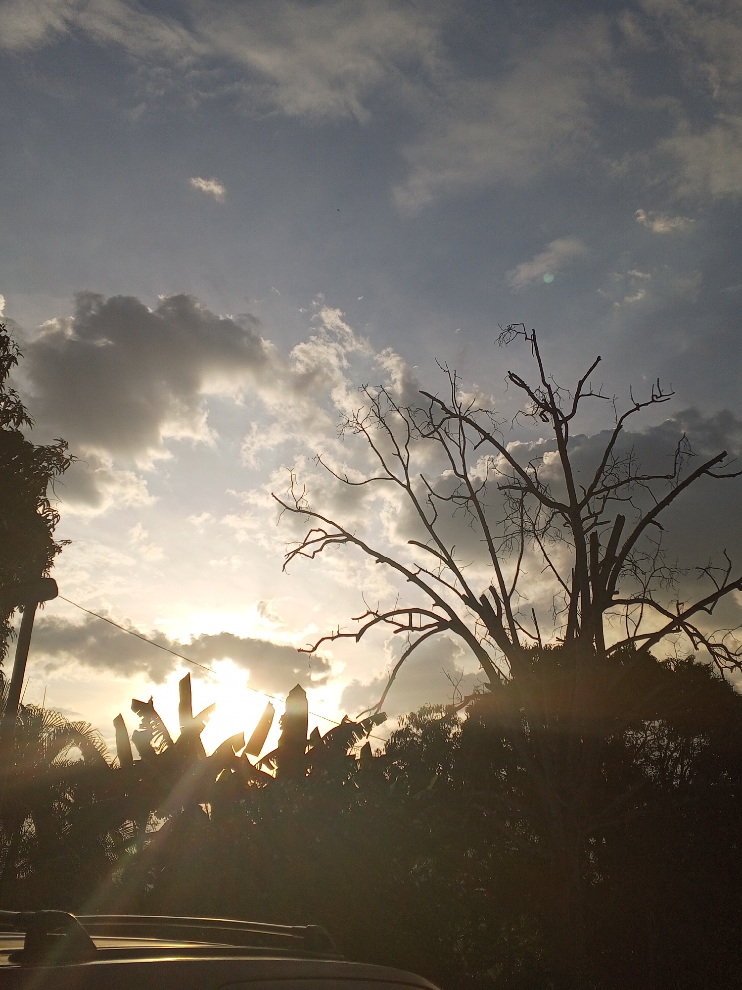 The image shows a sunset scene, likely in Los Leoncitos, Venezuela. The sky is filled with clouds, with the sun setting behind them, creating a bright glow. In the foreground, there are silhouettes of trees and vegetation, including what appears to be banana plants. A leafless tree stands prominently on the right. In the very bottom of the frame, the roof of a vehicle is partially visible. There are no people visible in the scene.