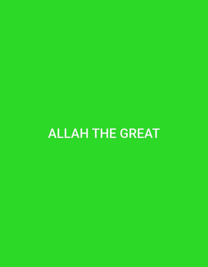 The image displays a plain, vibrant green background with the white text "ALLAH THE GREAT" centered horizontally and vertically within the frame. There are no other discernible objects, people, or environmental features depicted. The text is rendered in a simple, sans-serif font. There is no information in the image that indicates its location in Küçükçekmece, Turkey.