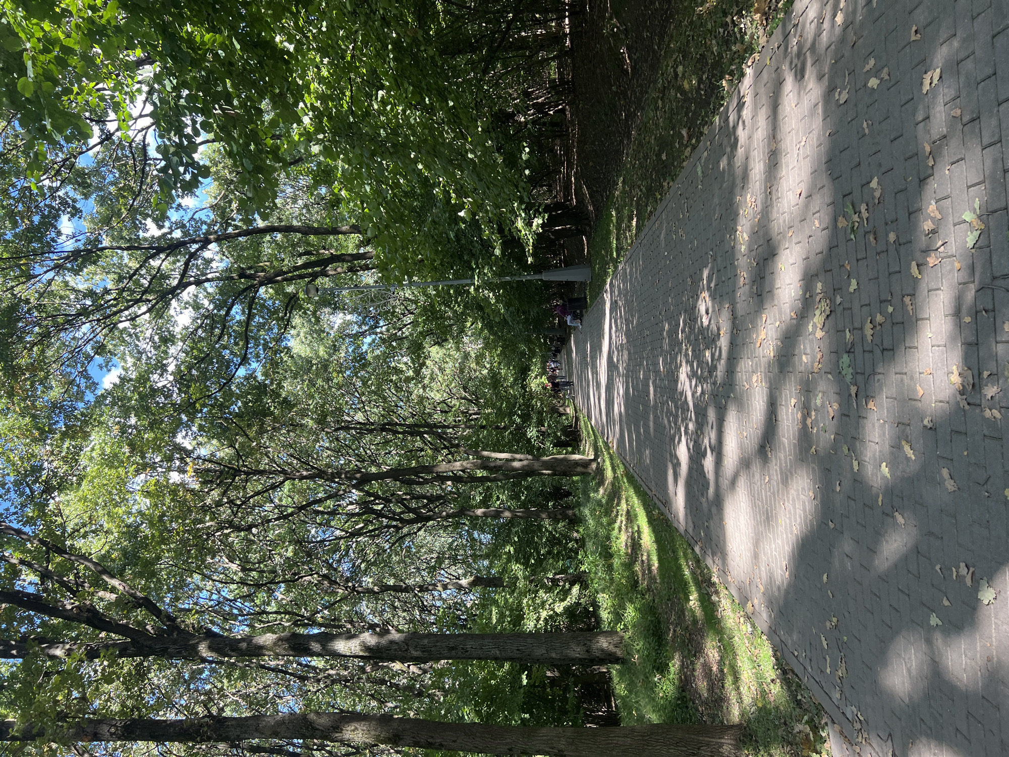 The image depicts a paved pathway winding through a tree-lined park. The pathway is constructed of grey interlocking bricks and is partially shaded by the dense foliage of mature trees. Fallen leaves are scattered across the pathway and the adjacent grassy areas. Several people are visible walking along the pathway in the distance, and a few are seated on benches. A lamppost stands alongside the pathway. The sky above is blue with scattered clouds. The scene appears to be a tranquil, sunny day in a public park. It is not possible to determine the specific location within Moscow, Russia, based solely on the visual information provided.