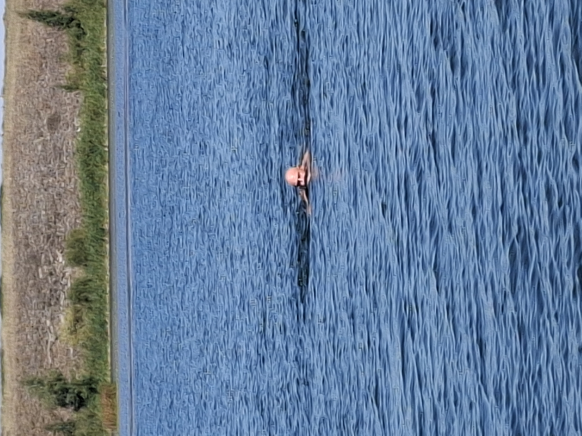 A man with a shaved head is swimming in a body of water. He is facing the camera and his head and shoulders are visible above the surface. The water is blue and appears choppy. In the background, there is a shoreline with vegetation and a rocky embankment. The scene is set outdoors on a sunny day.