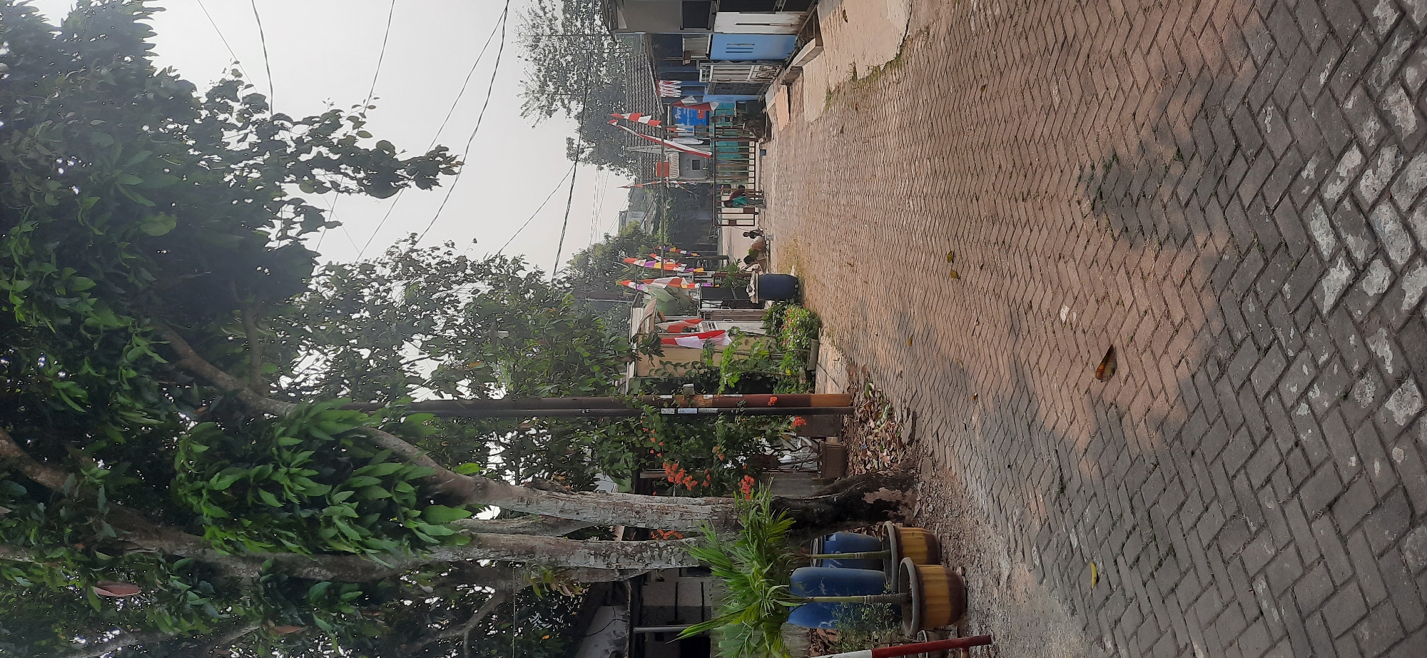 The image depicts a street scene in Cisauk, Indonesia, characterized by a brick-paved road leading towards a gate. Trees with green foliage are prominent on the left side of the image, alongside houses and potted plants. Several Indonesian flags are displayed along the street, suggesting a celebratory or patriotic occasion. In the distance, near the gate, two young individuals are visible, one sitting on the ground and the other standing. The sky is overcast, contributing to a diffused light in the scene. Electrical wires are visible overhead.
