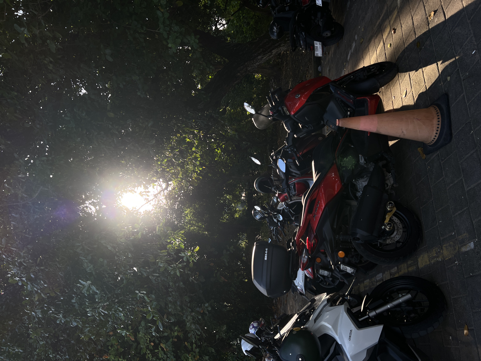 The image depicts a row of motorcycles parked on a paved surface alongside lush greenery, with sunlight filtering through the leaves. In the background, the sun is visible through the trees. A traffic cone lies on the ground next to one of the motorbikes. The license plate on one of the motorcycles indicates it's located in Denpasar, Indonesia.