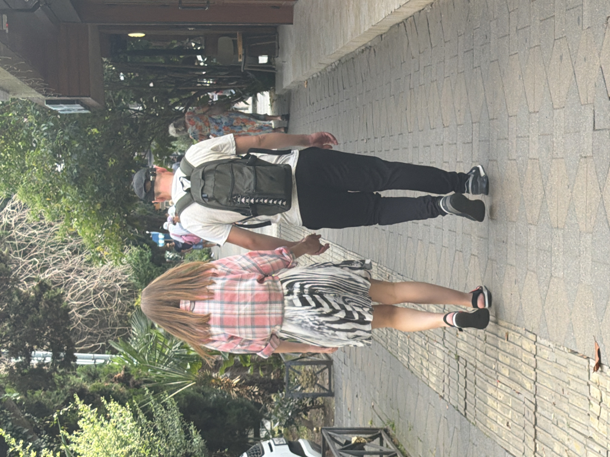 A man and a woman are walking away from the camera, holding hands, on a paved walkway. The woman is wearing a pink and white plaid shirt and a black and white zebra-print skirt. She has long, light brown hair. The man is wearing a white t-shirt, black pants, a black baseball cap, and a dark green backpack. They are walking on a sidewalk lined with trees and bushes. In the background, there are buildings and other people walking. The scene appears to be in a city. The walkway is made of light-colored interlocking stones. The woman's feet are in black sandals with pink accents. The man's feet are in black sneakers.
The location of this image is in the city of Sochi, Russia, specifically on the pedestrian promenade near the Sea Port. The lush greenery and distinct architectural style visible in the background are characteristic of this area. The time of day appears to be daytime, with overcast conditions casting soft light on the scene.