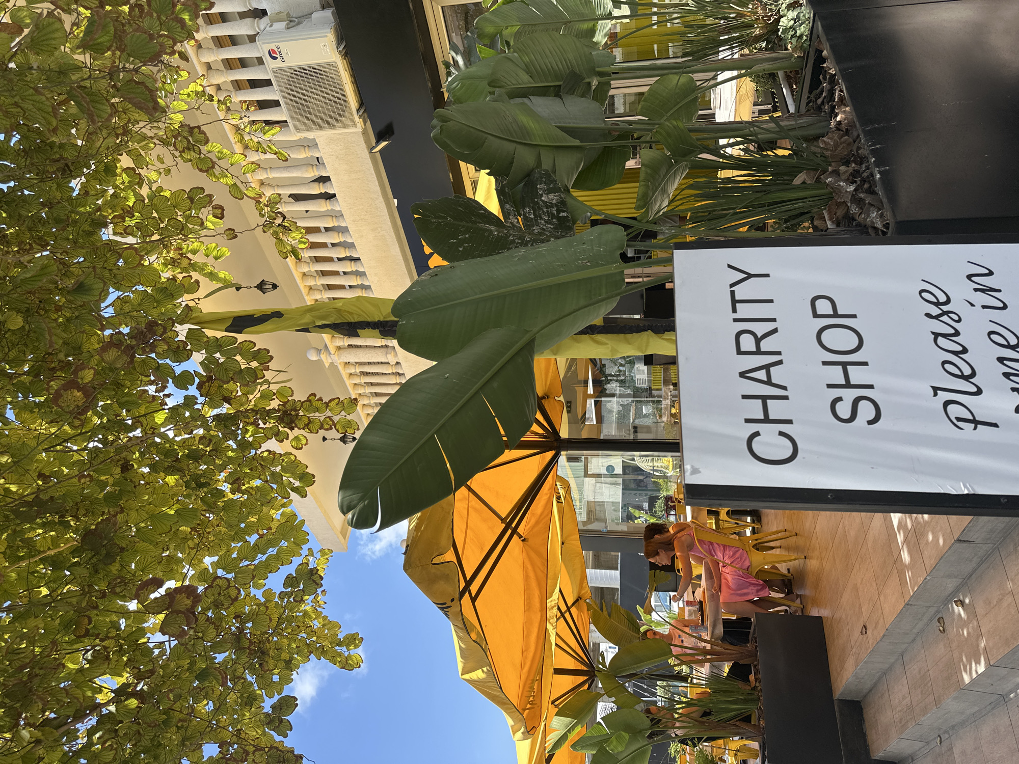 An outdoor scene in Paphos Municipality, Cyprus, features a charity shop with a white sign reading "CHARITY SHOP Please come in". Large, lush green leaves of tropical plants flank the sign. In the background, under bright yellow umbrellas, several people are seated at tables, appearing to be patrons of an establishment. A woman in a pink dress is visible at one of the tables. The architectural style suggests a modern building with white balustrades on an upper level, and an air conditioning unit is mounted on the wall. The ground is paved with light-colored square tiles, and a few dry leaves are scattered on the steps leading to the seating area. The sky is bright blue with scattered clouds, and the sun casts strong shadows, indicating a sunny day. The overall impression is one of a pleasant, well-lit outdoor space on a commercial street.