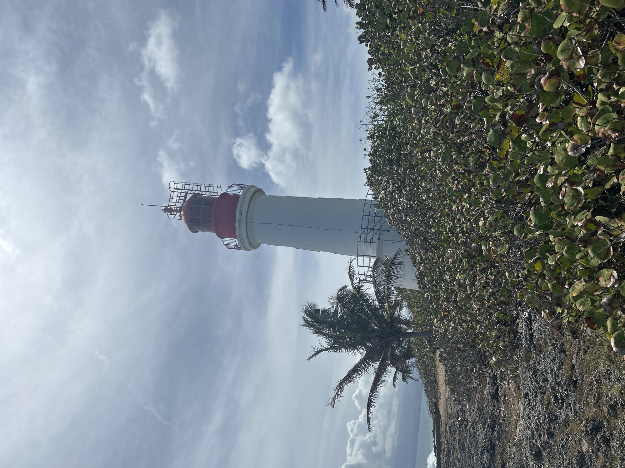 The image shows the Phare de la Pointe de la Grande Vigie lighthouse in Le Gosier, Guadeloupe, France, framed by vegetation on the right and a partly cloudy sky on the left. A palm tree partially obscures the base of the lighthouse. The lighthouse is white with a red top, visible steel framework, and a lightning rod. The terrain appears rocky with dense, leafy plants. In the distance, there is a glimpse of the sea and some cloud formations on the horizon.