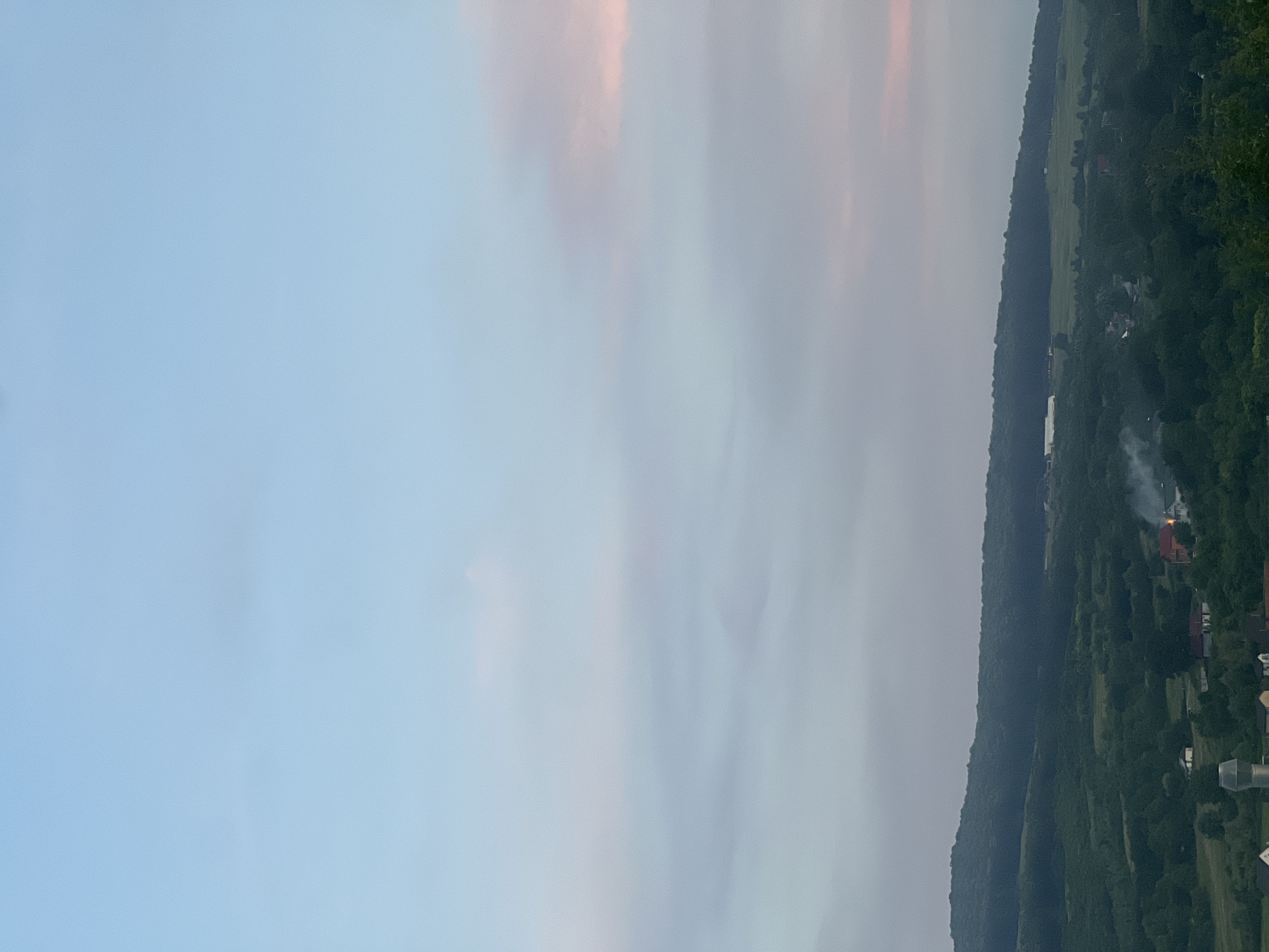 This is a media file depicting a landscape scene, likely taken from an elevated viewpoint. The primary subjects are a densely forested hillside and a pale sky. The scene is dominated by the natural environment, with the hillside taking up the right half of the frame and the sky filling the left. Scattered amongst the trees on the hillside are a few man-made structures, appearing as small houses or buildings. One building has visible smoke rising from it, suggesting a fire or chimney, possibly indicating an outdoor activity like a bonfire or cooking.
The time of day appears to be either early morning or late evening, given the soft, diffused light and the colors in the sky, which range from pale blue to hints of pink and grey, suggesting twilight. The weather seems overcast or hazy, contributing to the muted colors and soft focus. The lush green of the forest indicates a temperate climate during a growing season, consistent with a summer or late spring setting.
The composition is a vertical panorama, with the hillside running diagonally across the image. The overall mood is tranquil and serene, with the gentle colors and the quiet presence of the scattered habitations. There is no visible text in the image. The location context provided is Bârnova, Romania, which aligns with a forested, hilly landscape.
