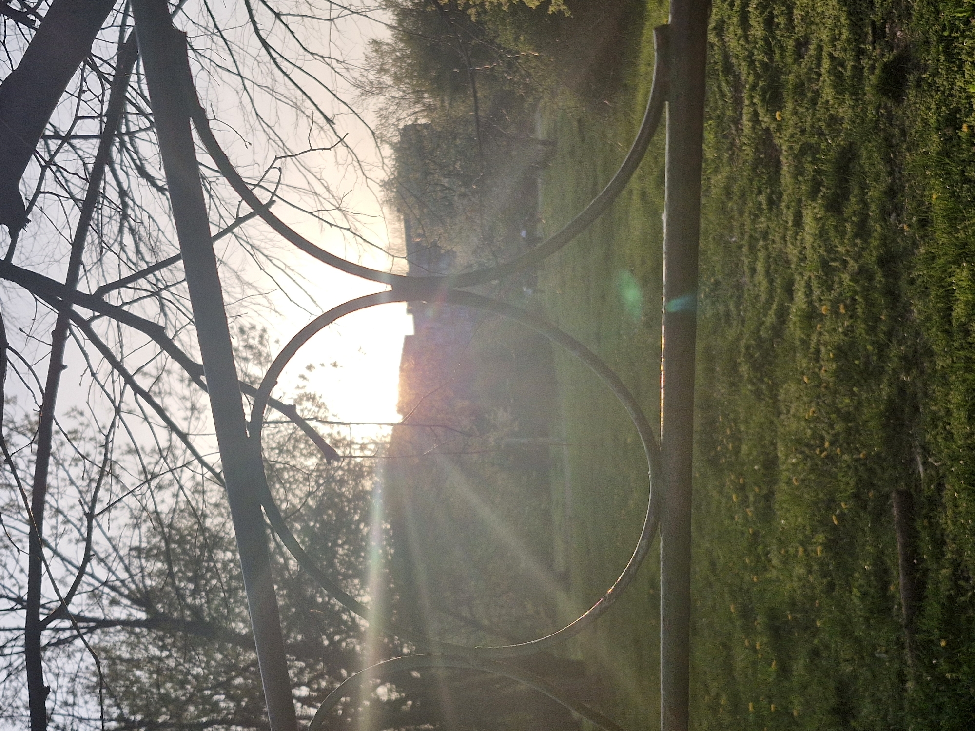 The image captures a scene in Sofia, Bulgaria. A metal fence, composed of vertical bars and circular loops, partially obstructs the view of a sunlit meadow. Bare tree branches are visible to the left of the fence. The sun, partially obscured by trees and possibly a building, casts rays through the scene. Green grass covers the meadow. The image is oriented vertically.