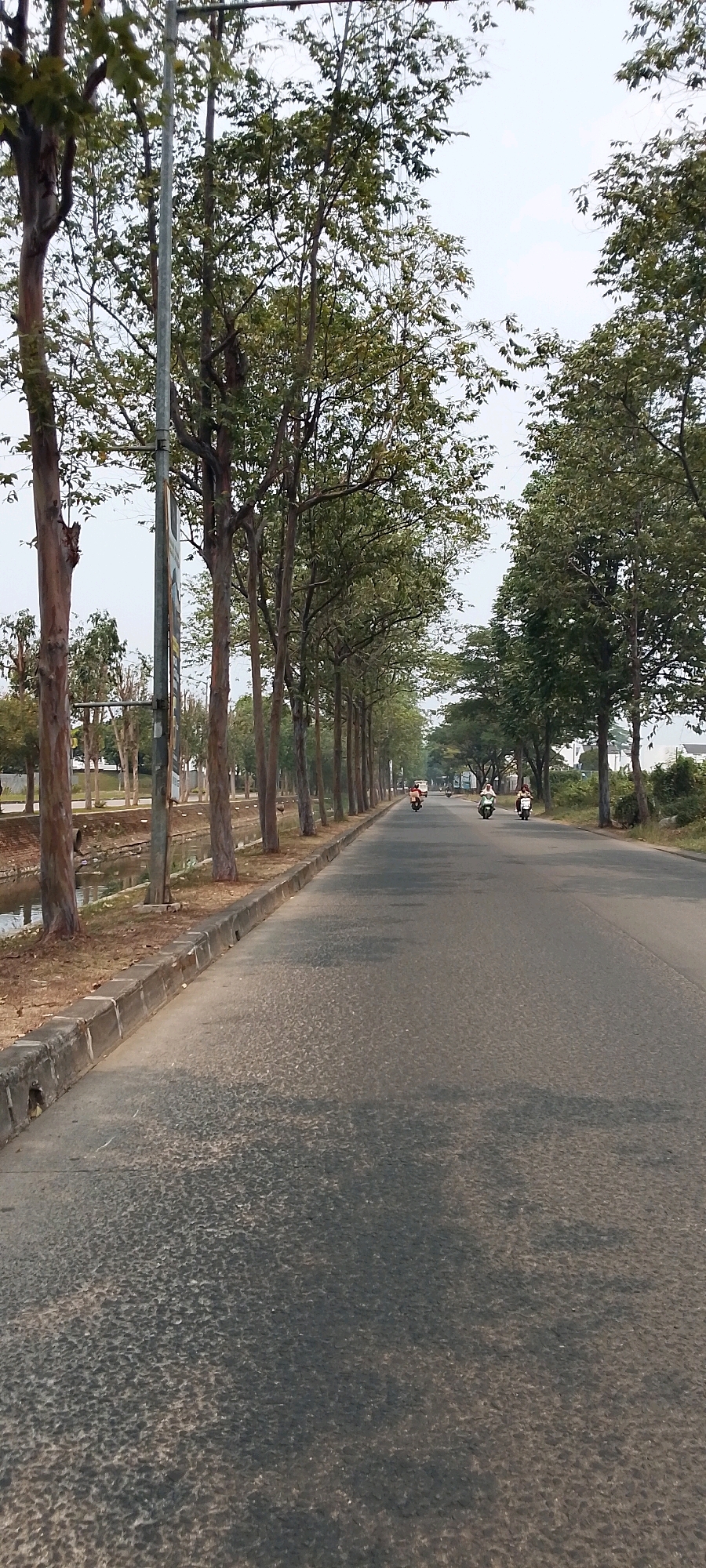 A linear street scene in Bekasi, Indonesia, with mature trees lining the left side of the road. A concrete drainage channel runs alongside the trees. The road surface is asphalt with a textured, somewhat uneven appearance. Several motorbikes are visible on the road, moving away from the viewer. One motorbike in the foreground is a lighter color, while others further back are darker. A single figure is on the closest motorbike. The sky is overcast. The overall atmosphere is calm and ordinary, depicting a typical street in a residential or semi-rural area of Bekasi.