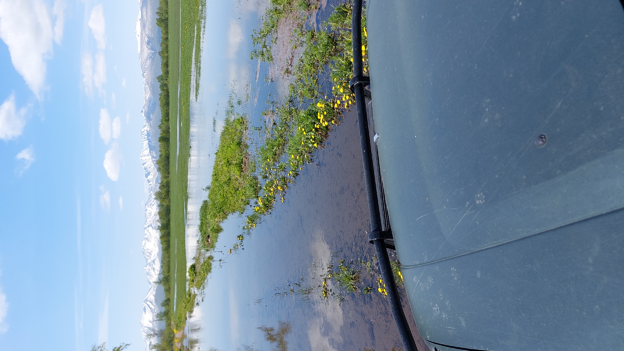 The image, taken from the perspective of a dark green vehicle, shows a flooded landscape with snow-capped mountains in the distance. The foreground is dominated by the hood of the vehicle, which appears to be dusty and scratched. A black bar, likely part of the vehicle's structure, runs across the top of the hood. Beyond the vehicle, a flooded grassy area with yellow wildflowers is visible. The water reflects the blue sky and white clouds. In the far distance, a range of mountains, some with snow cover, stretches across the horizon. The scene appears to be a natural landscape, possibly rural, and the location is stated to be Zelenyi, Russia. There are no people or discernible human activity beyond the presence of the vehicle.