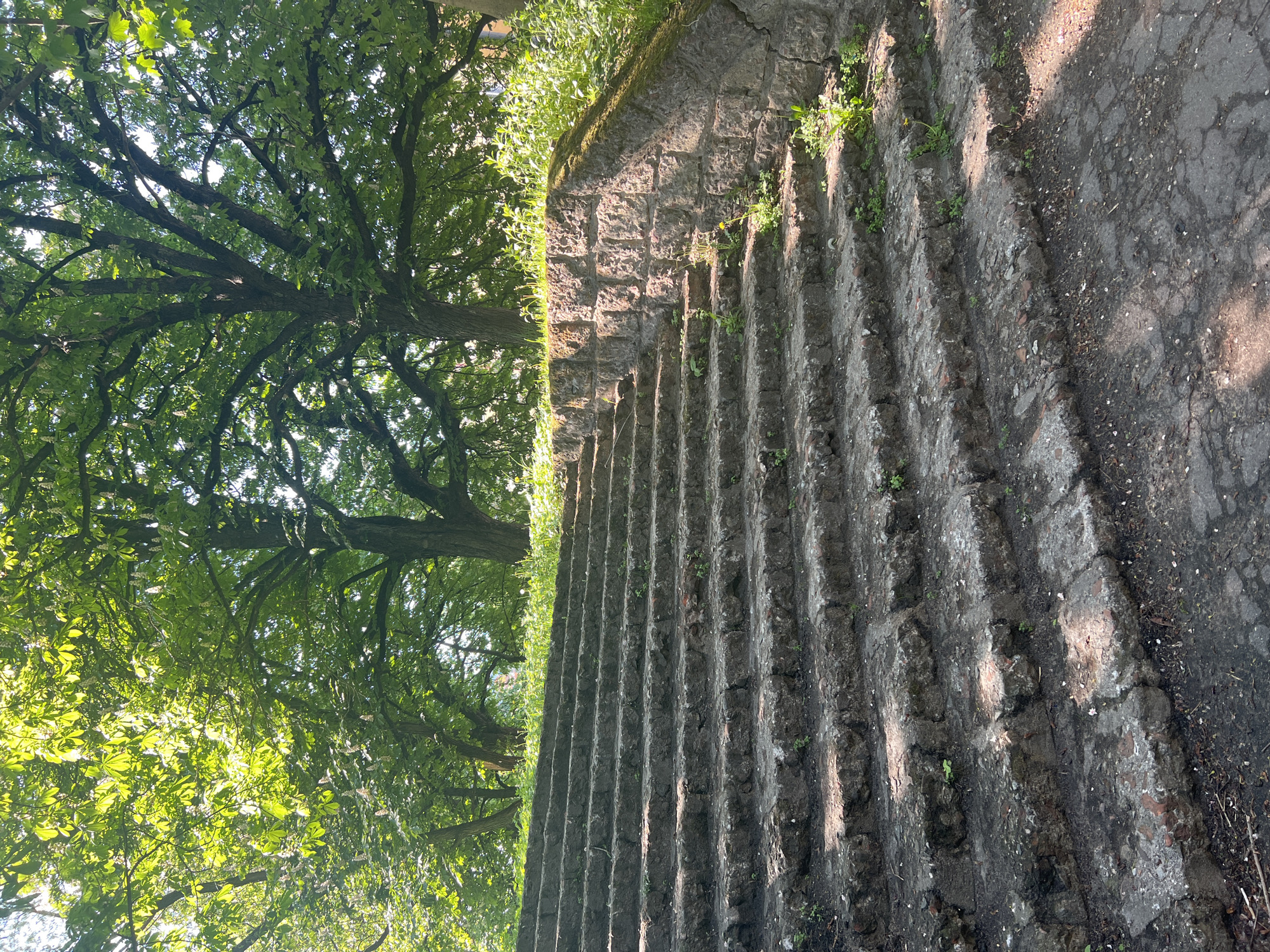 The image shows a set of old, stone steps leading upwards. The steps are heavily weathered and show signs of age and wear. Vegetation, including small plants and moss, grows on and around the steps. To the left of the steps, a lush green tree is visible, its branches reaching towards the top of the frame. The overall setting suggests an outdoor location, possibly a park or garden, in the city of Unknown, Unknown. The steps themselves are in need of repair, and the environment is one of natural overgrowth and decay. There is no indication of people present in the image.