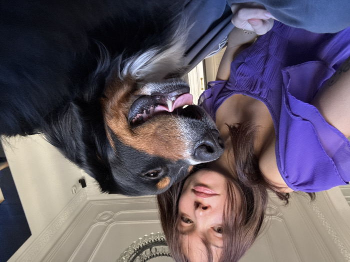 An indoor, close-up scene features a female individual and a tricolor dog. The female has shoulder-length brown hair with bangs, fair skin, and is wearing a purple ruffled, pleated top. A faint tattoo is visible on her left upper arm. Her right hand, wearing a ring on the index finger, rests near her leg, which is clad in grey fabric. She looks directly at the camera with a neutral expression. To her right, a large tricolor dog, appearing to be a Bernese Mountain Dog or similar breed, is positioned with its head turned towards the camera and the female. The dog's mouth is slightly open, revealing its tongue, and its right eye is partially closed. The background reveals an ornate white ceiling featuring decorative molding and a dark, multi-tiered chandelier. White walls with matching decorative molding are also visible, along with a partial dark blue wall or furniture piece in the upper right. The subjects appear to be seated on a grey textile surface. The architectural characteristics, including high ceilings and elaborate decorative moldings, are consistent with residential interiors found in the Eixample district of Barcelona, Spain.