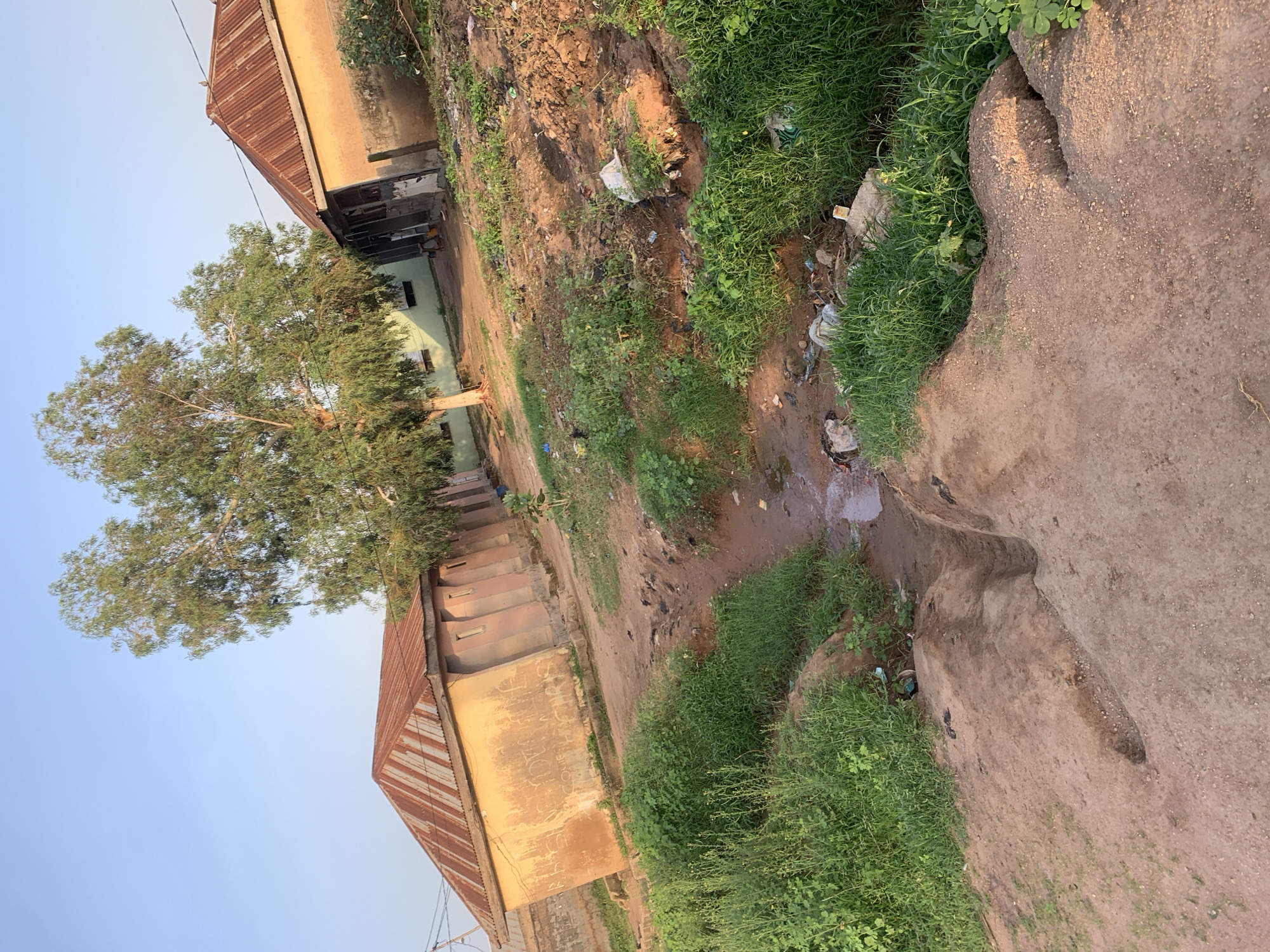 This image depicts a scene in Jalingo, Nigeria, showcasing two modestly constructed buildings with corrugated metal roofs. The buildings appear aged, with one exhibiting a faded, yellow-orange facade covered in graffiti. The ground is a mix of dirt and sparse vegetation, with a visible erosion gully running through the foreground, suggesting potential drainage issues or natural wear. Litter and debris are scattered across the landscape, particularly within the gully and around the buildings, indicating an unkempt environment. A large tree with abundant green foliage stands prominently between the two structures, casting a shadow and adding a natural element to the otherwise utilitarian setting. The sky is clear and blue, suggesting it is daytime. The overall impression is one of a residential area in a developing urban environment.