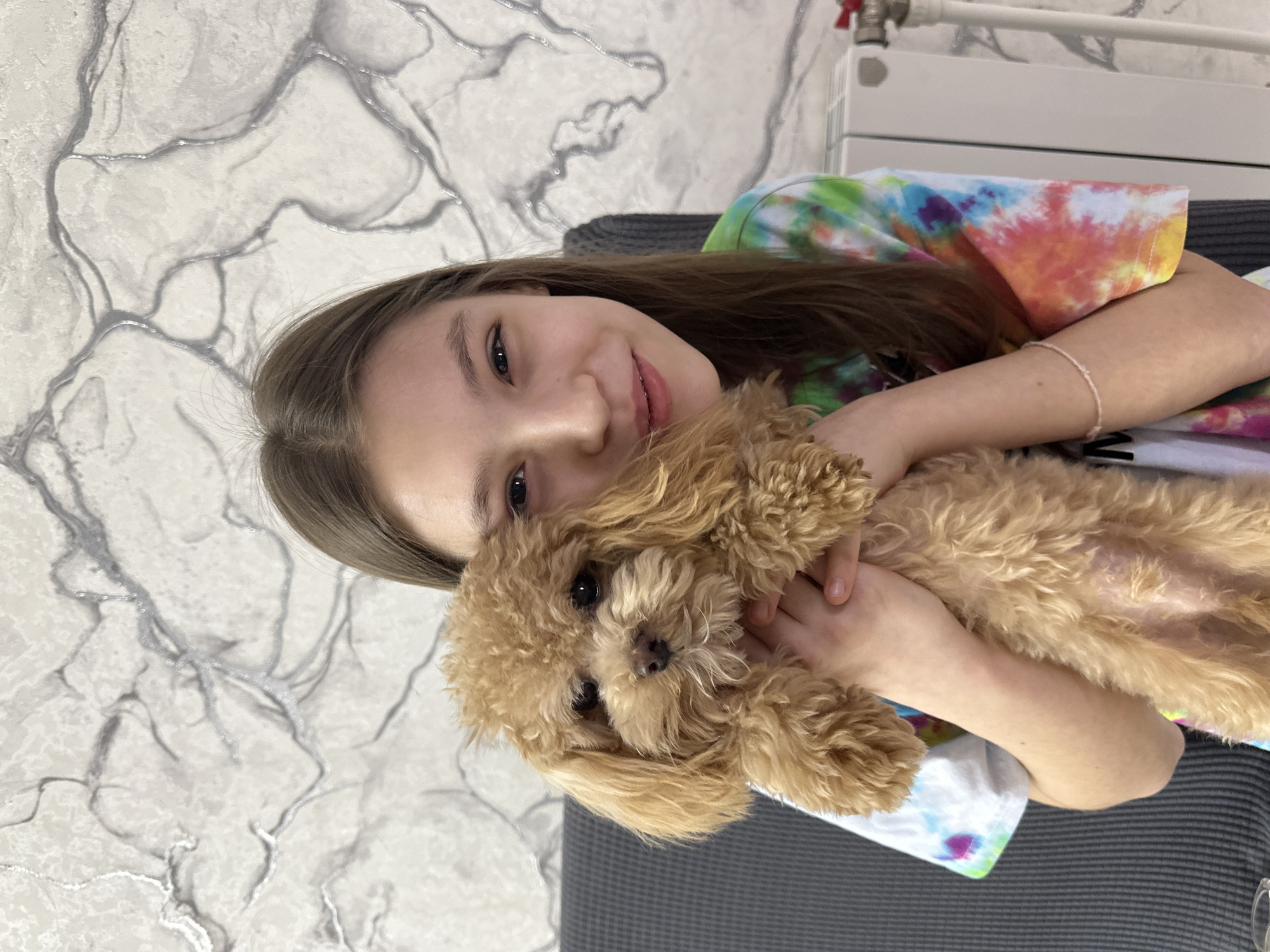 A heartwarming portrait captures a young girl embracing a small, curly-haired, light brown dog indoors in слобода Старая, Russia. The girl, likely a pre-teen or early teen, has long, straight brown hair and a warm, open smile directed at the camera. She is wearing a vibrant tie-dye t-shirt featuring shades of green, yellow, orange, and pink. A light-colored bracelet is visible on her right wrist.
She holds the small dog affectionately, with her arms wrapped around its body. The dog, which appears to be a poodle or a similar breed, has dark eyes and a dark nose, and looks calmly towards the viewer. The overall expression on both subjects suggests a strong bond and contentment.
The background features a distinctive light-colored wall adorned with a grey and silver marbling pattern, creating a modern and clean aesthetic. A dark grey, textured fabric surface, possibly a sofa or bed, is visible beneath them. In the upper right corner, a white radiator with a red valve component is partially visible, indicating an indoor domestic setting. The lighting is soft and even, suggesting a comfortable interior environment. There is no visible text in the image.