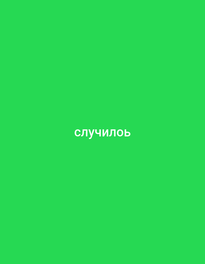 The image is a solid green background with white text in the center that reads "случилось". There are no people, subjects, objects, actions, interactions, or environmental details present in the image. The image does not provide any information related to the city of Denpasar, Indonesia.