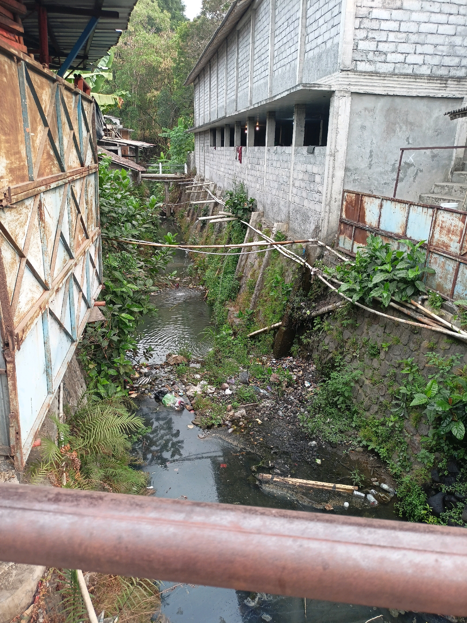 The image depicts a polluted stream flowing through a densely vegetated, urban-like area in Bandongan, Indonesia. On the left, a rusty, corrugated metal structure with diamond-shaped openings is visible. To the right of the stream, a multi-story building constructed with cinder blocks stands. The stream itself is choked with debris, including plastic bottles, bags, and other refuse. Lush green vegetation lines the banks and spills into the water, contrasting with the pollution. Several bamboo poles and pipes are suspended over the stream, possibly for drainage or support. In the foreground, a rusty metal railing obstructs the view of the stream. The overall scene suggests a neglected area with environmental challenges.