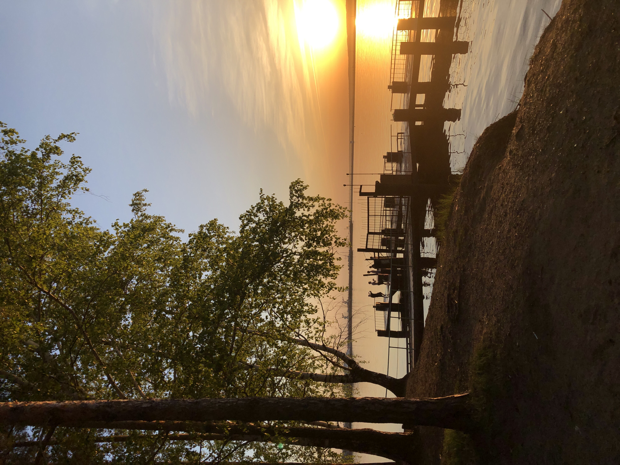 The image depicts a sunset over the Kama River in Chaikovsky, Russia. In the foreground is a cluster of trees with green leaves and exposed trunks. To the right of the trees is a section of the riverbank with visible dirt and grass. In the background, a metal structure extends into the river. The setting sun casts a bright golden glow on the water and the sky. The sky displays gradients of light blue, orange, and yellow, with some streaky clouds.