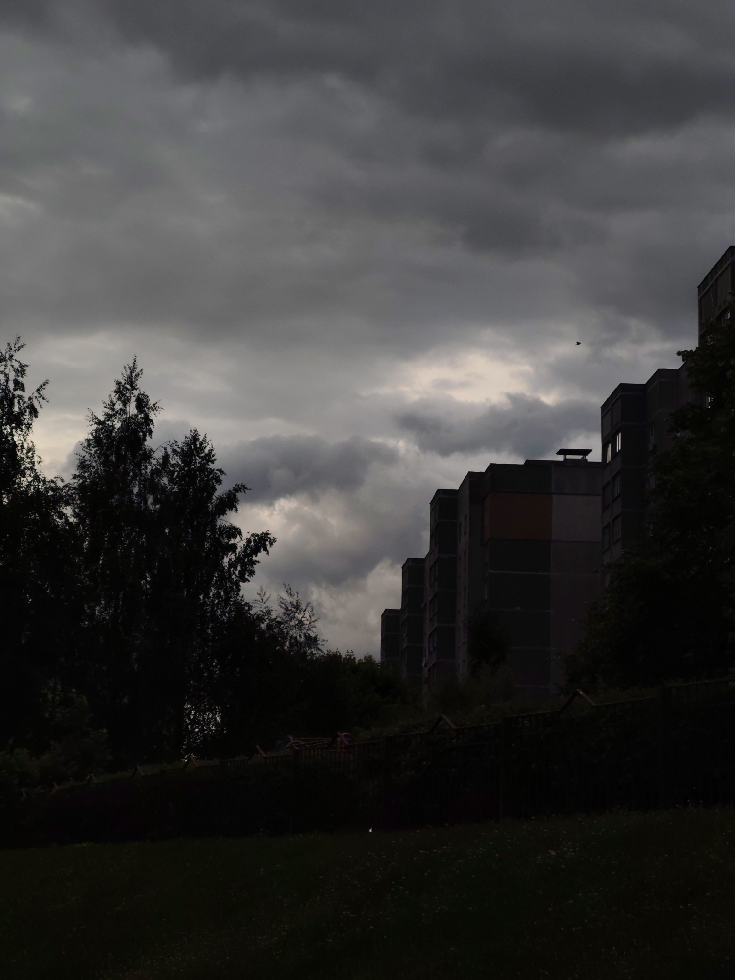 The image depicts a row of gray apartment buildings under a cloudy, overcast sky in an urban environment. The buildings are boxy and appear to be of Soviet-era construction, with visible windows and a few balconies. Dark trees and bushes obscure the view of the buildings closer to the foreground. A low fence or wall separates the buildings from a dark lawn or field in the foreground. The overall scene is dimly lit. A bird flies through the sky above the buildings.